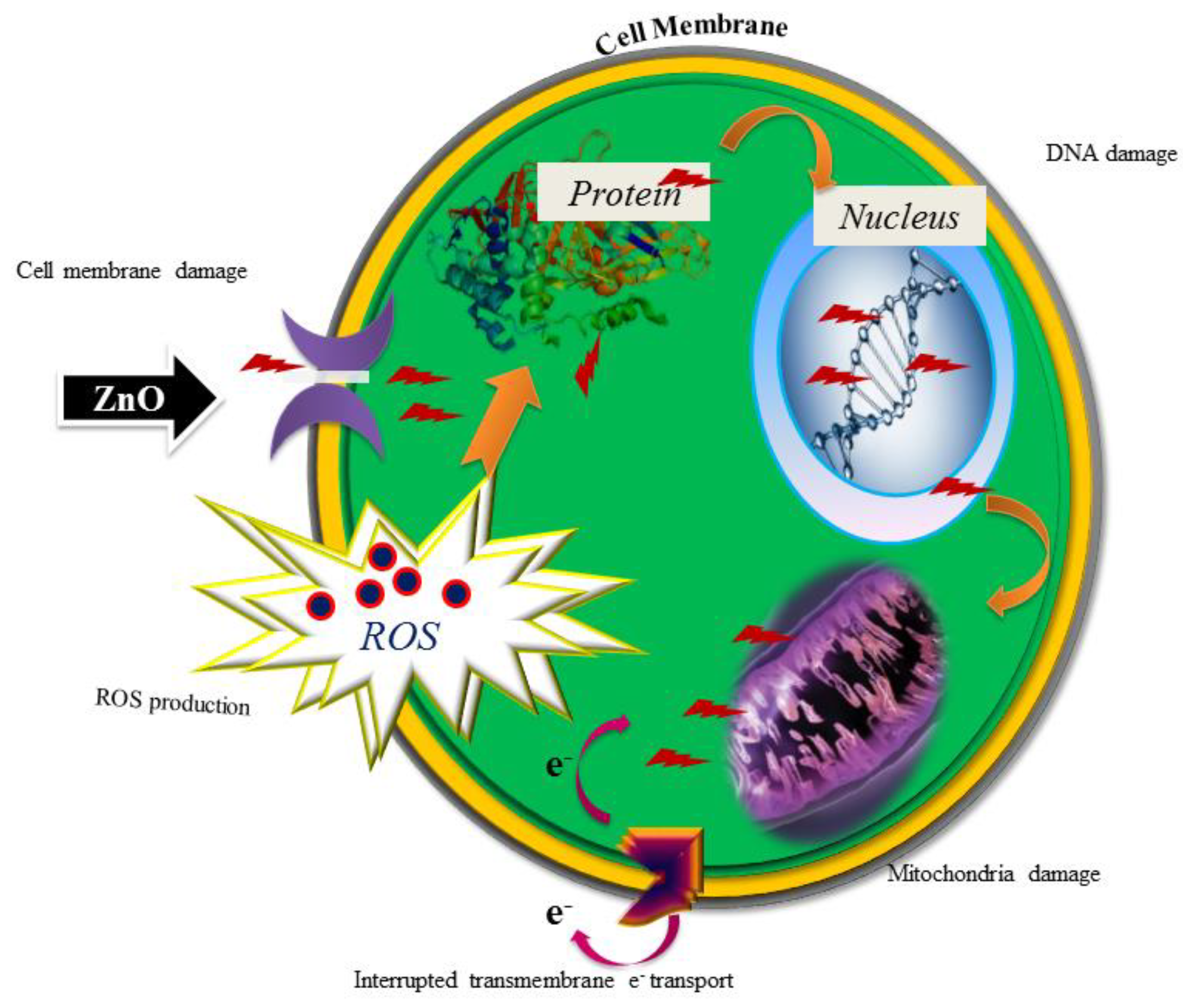 Nanomaterials 08 00500 g009