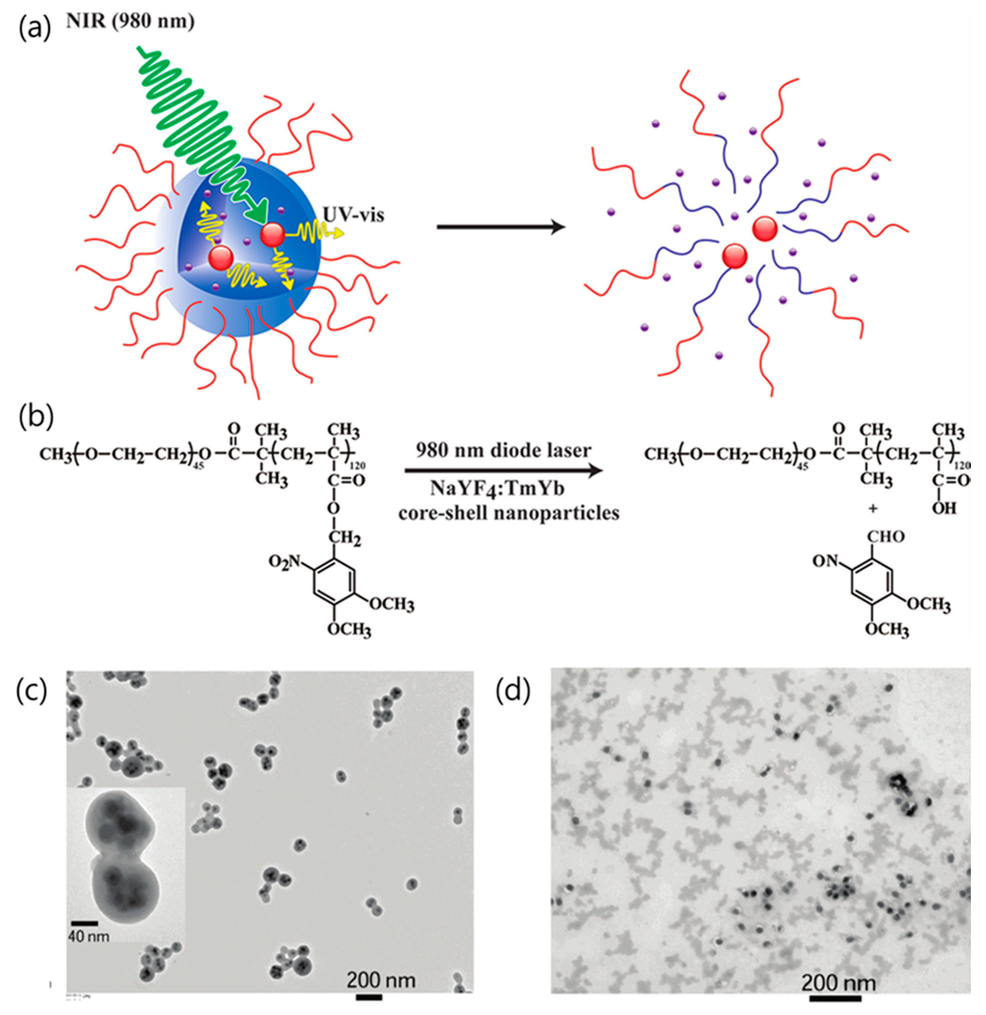 Nanomaterials 08 00511 g005 Nanomaterials 08 00511 g005