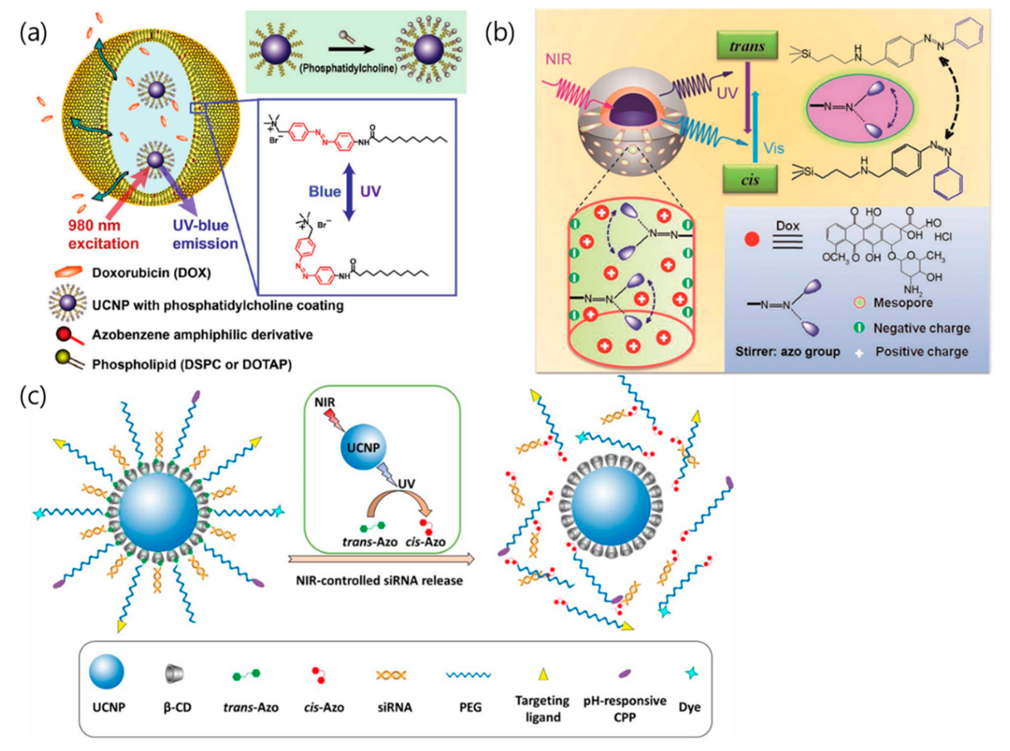 Nanomaterials 08 00511 g006 Nanomaterials 08 00511 g006
