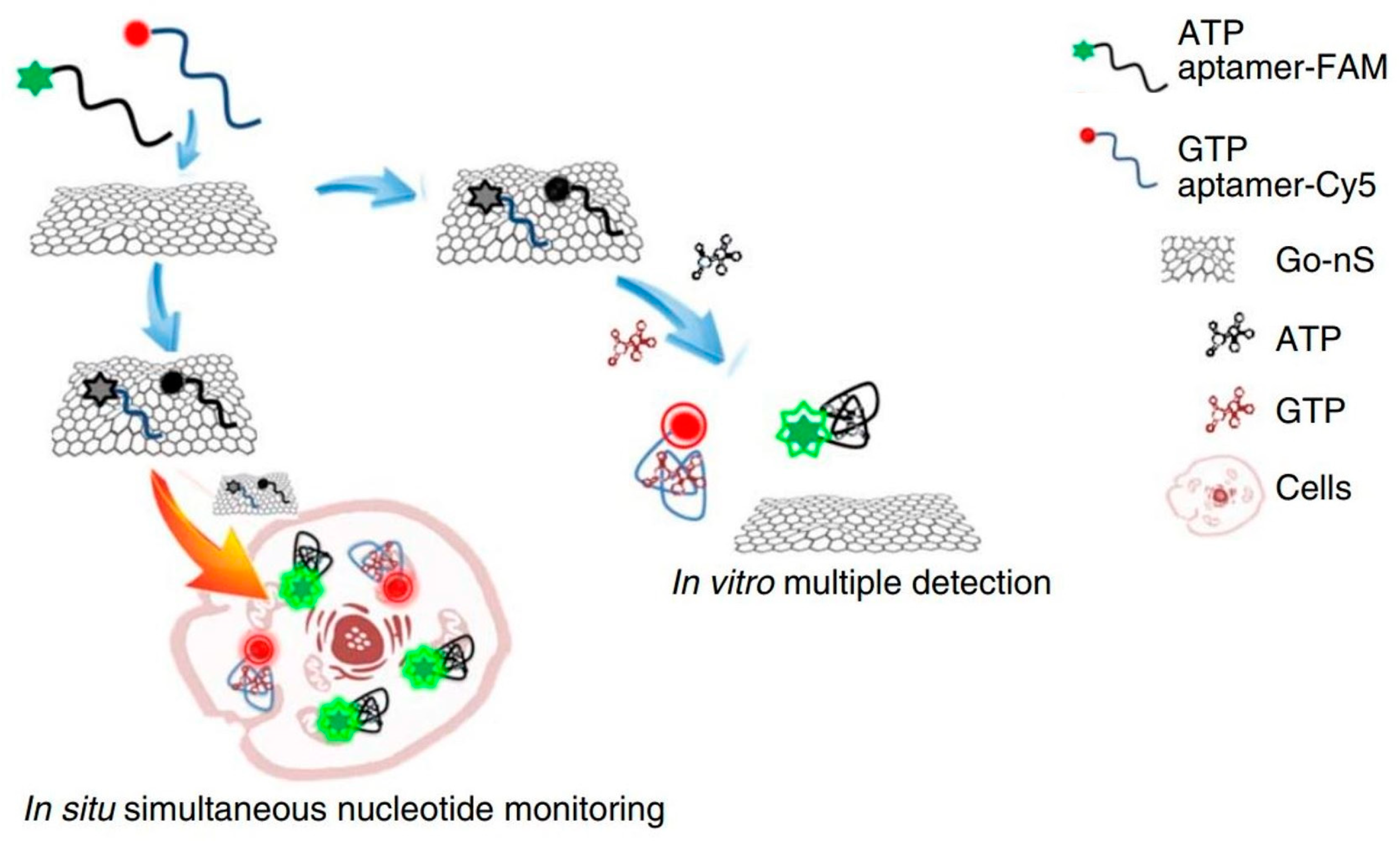 Nanomaterials 08 00519 g005