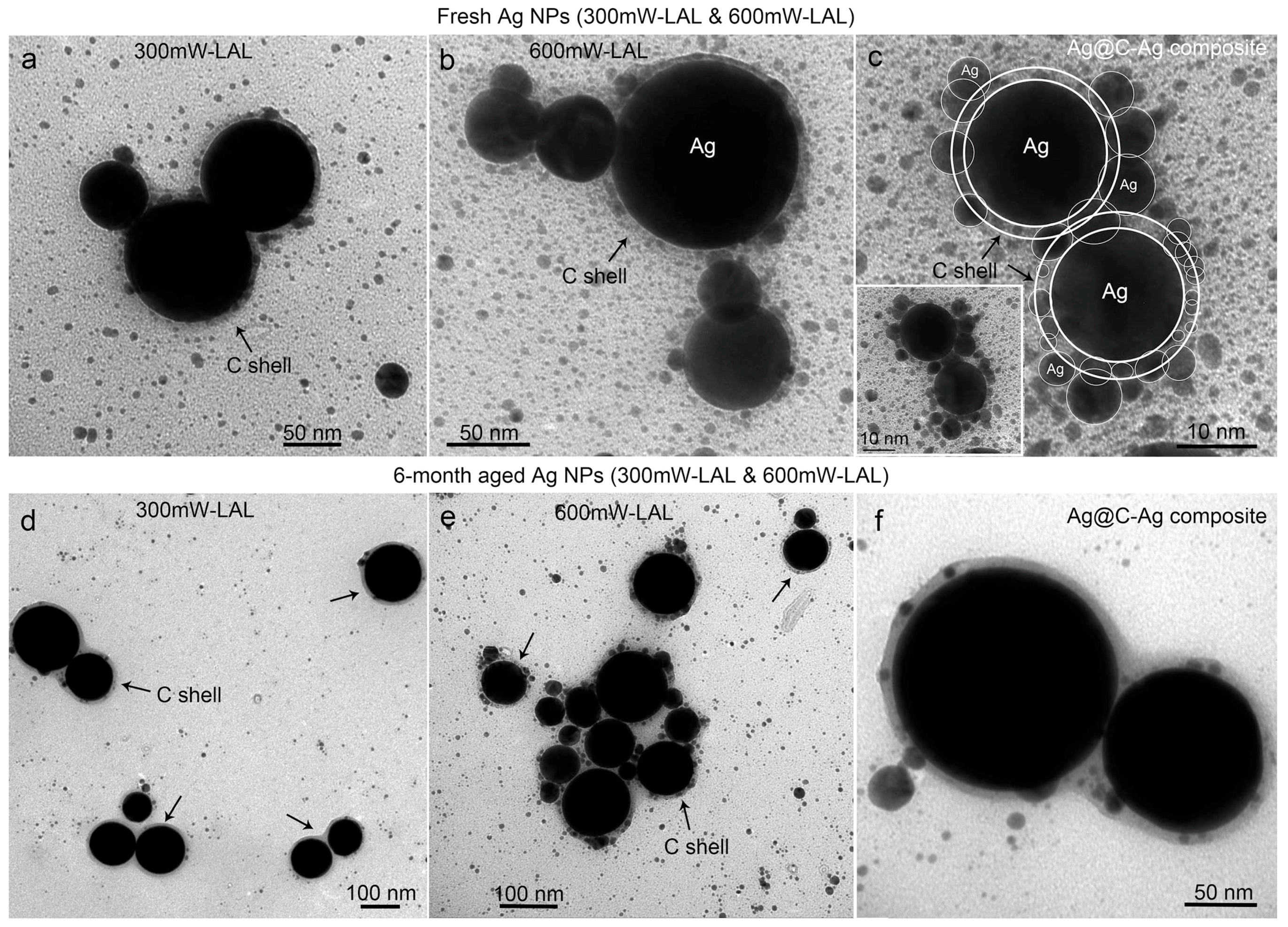 Nanomaterials 08 00529 g004