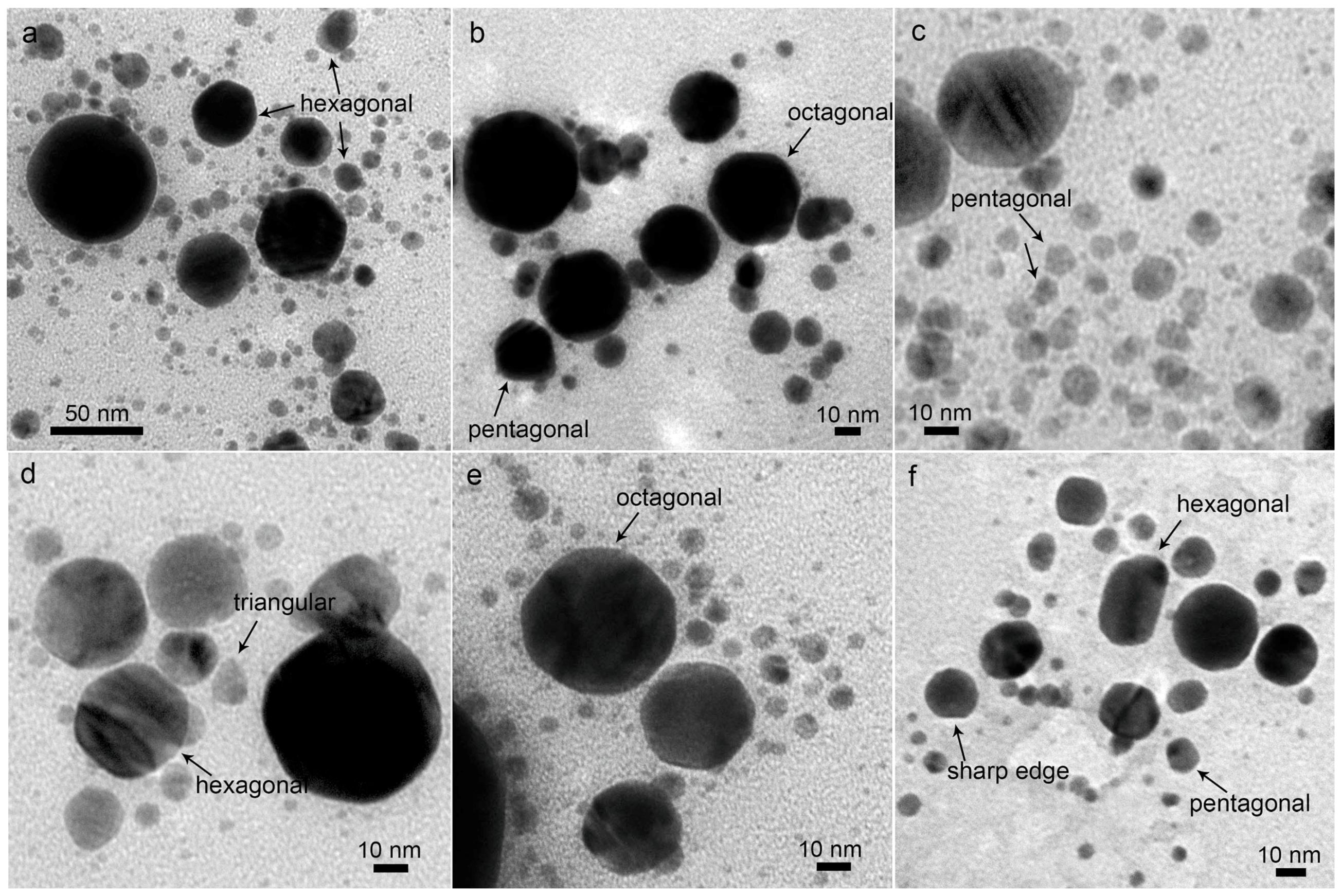 Nanomaterials 08 00529 g006