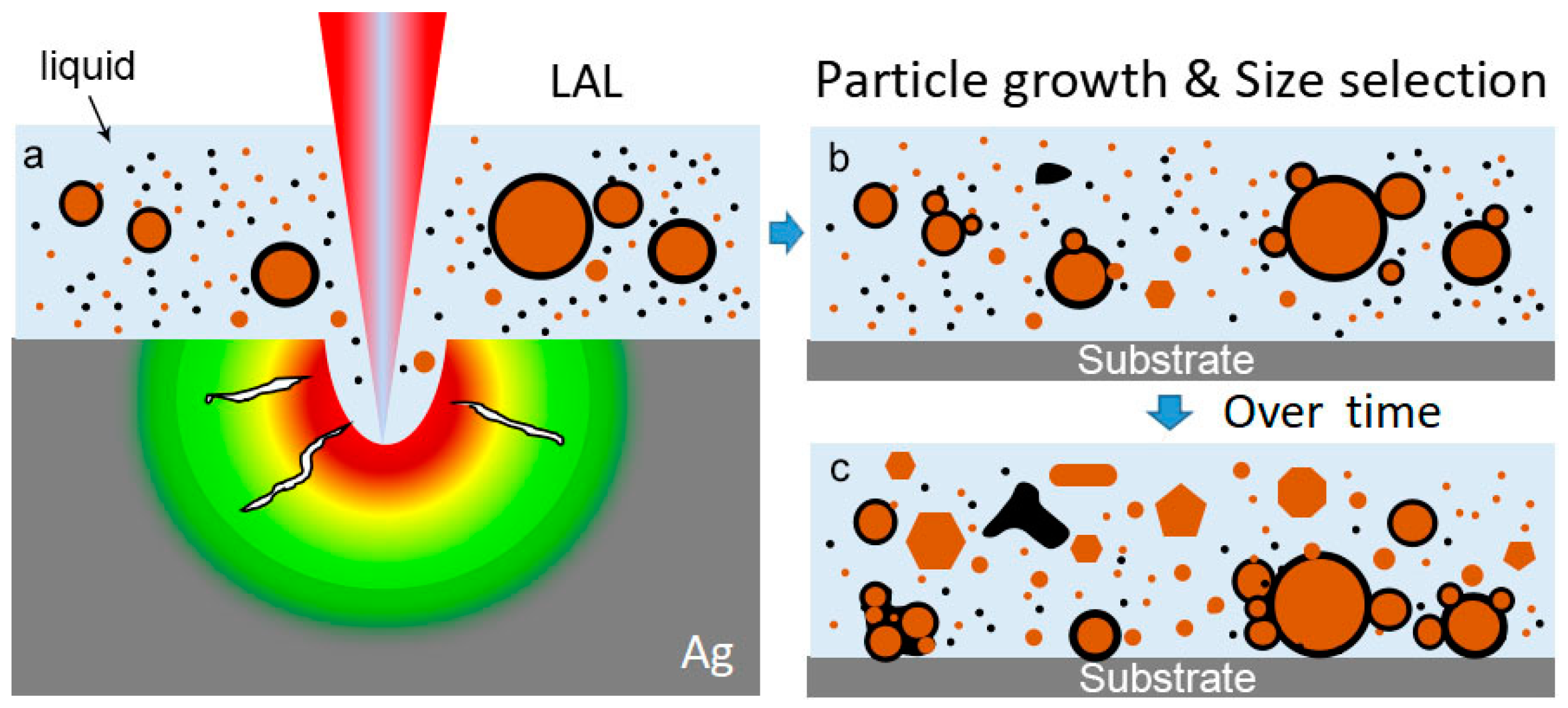 Nanomaterials 08 00529 g010