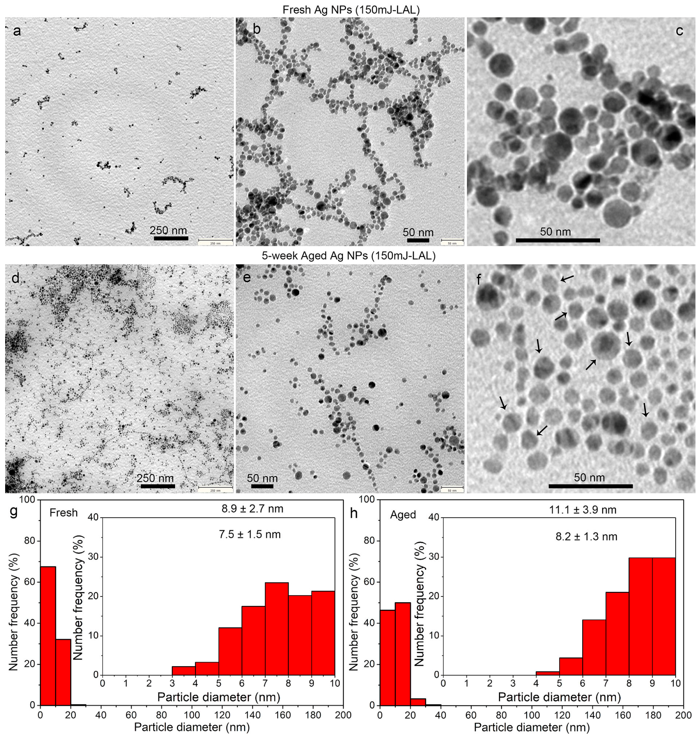 Nanomaterials 08 00529 g012