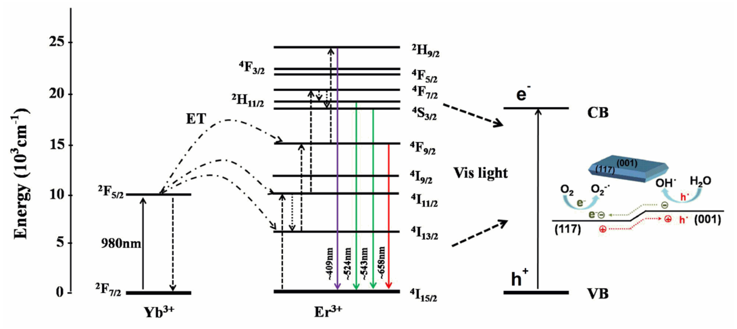 Nanomaterials 08 00534 g007
