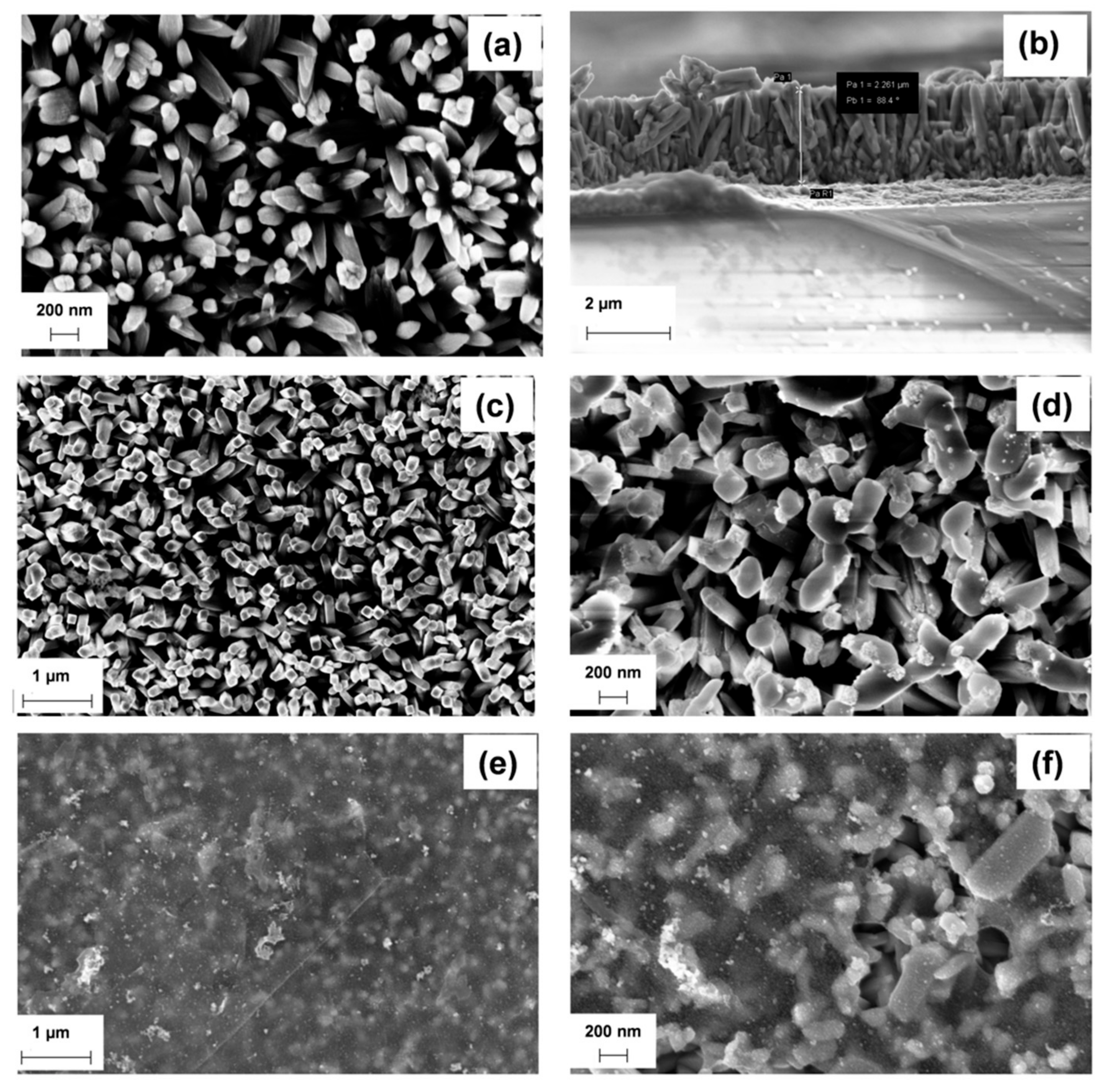 Nanomaterials 08 00544 g002