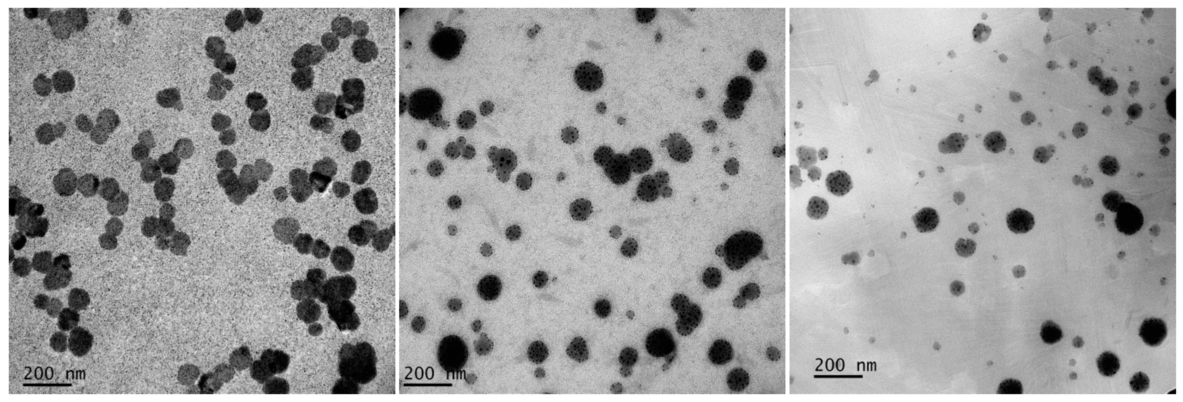Nanomaterials 08 00545 g003