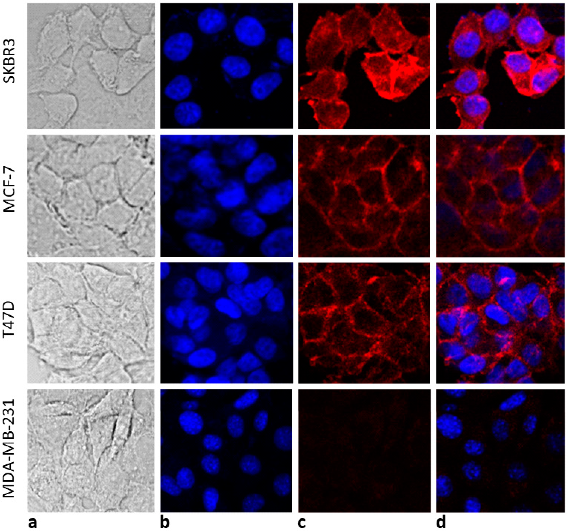 Nanomaterials 08 00549 g001