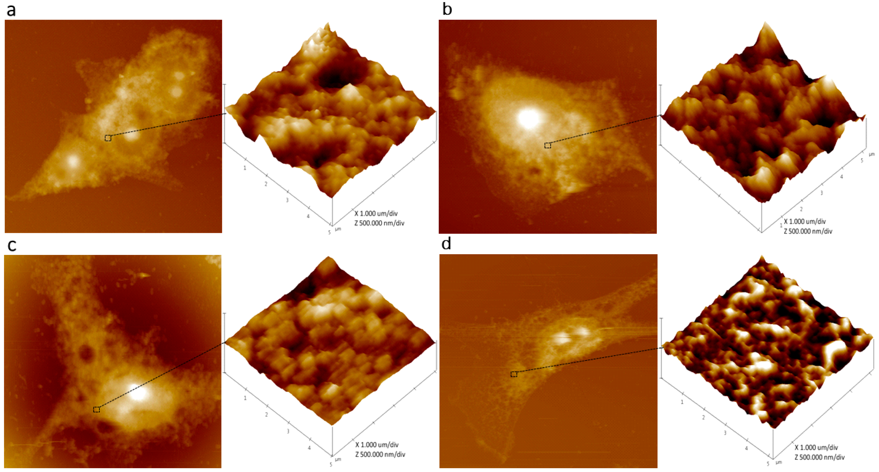 Nanomaterials 08 00549 g003
