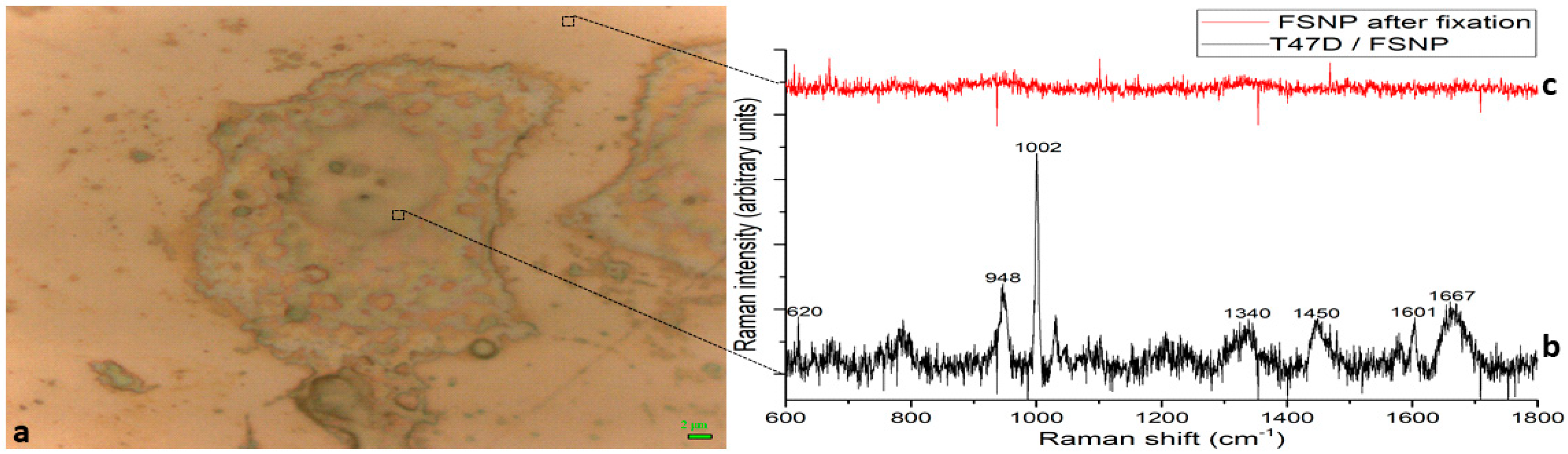 Nanomaterials 08 00549 g005