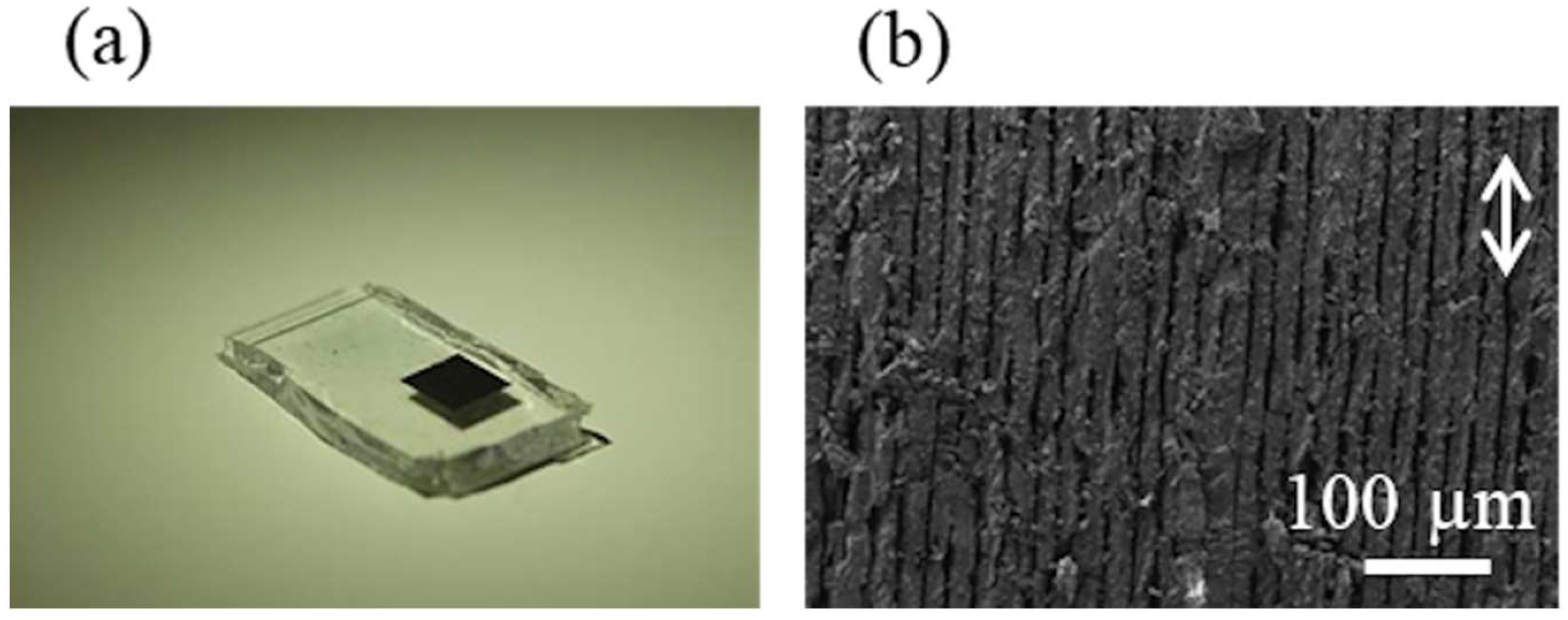 Nanomaterials 08 00558 g001 Nanomaterials 08 00558 g001
