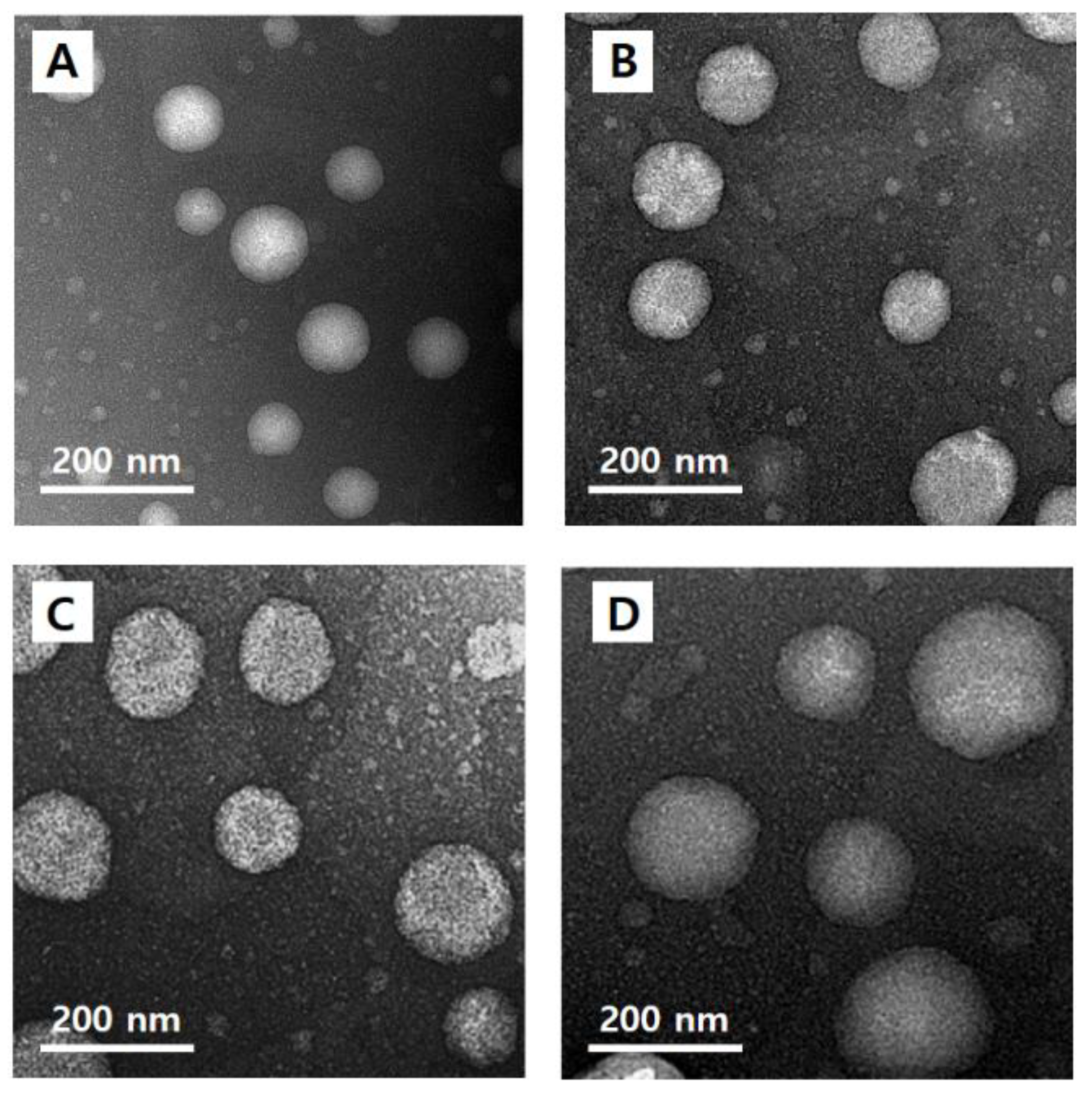 Nanomaterials 08 00622 g004 Nanomaterials 08 00622 g004