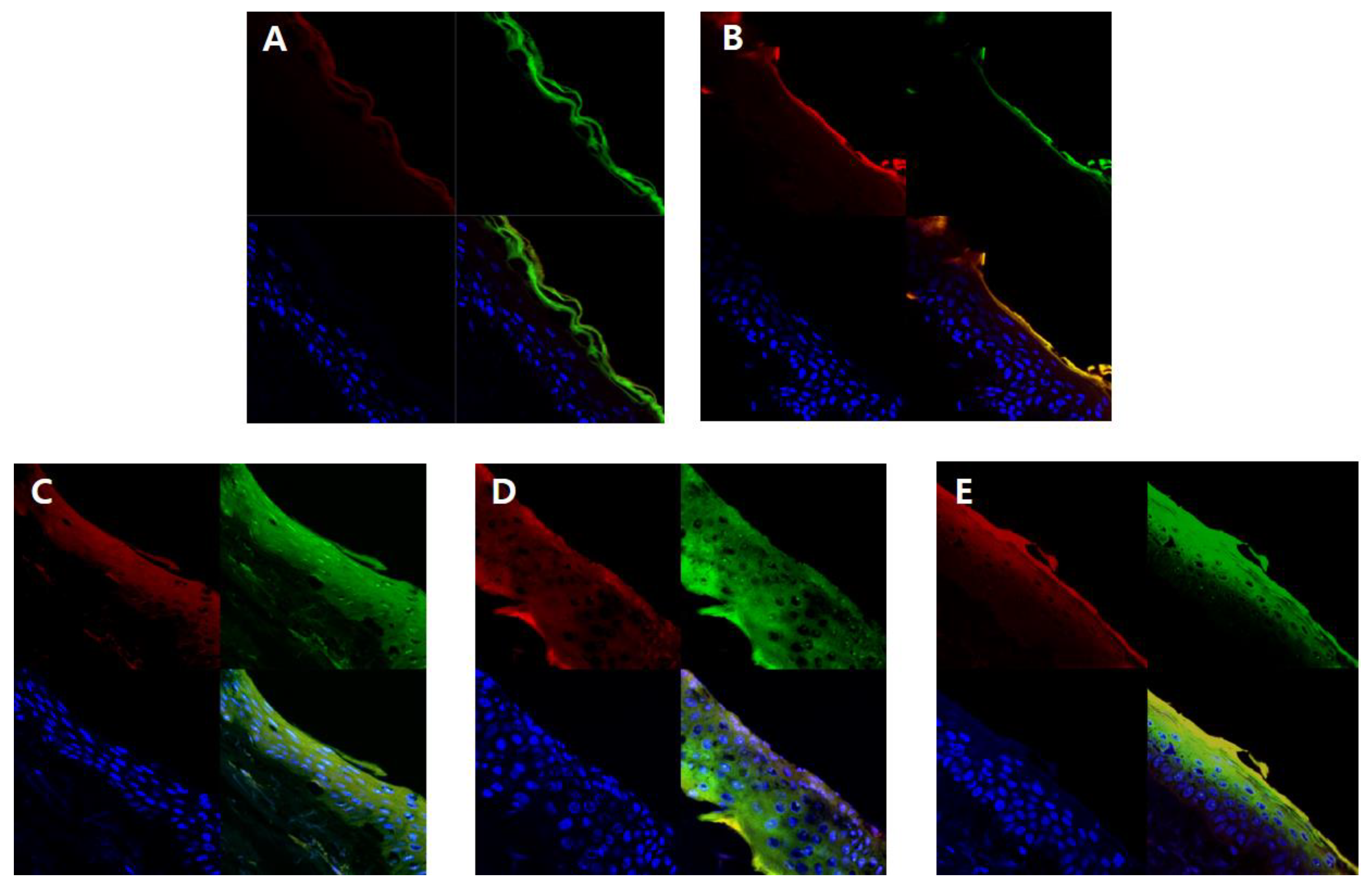 Nanomaterials 08 00622 g007 Nanomaterials 08 00622 g007