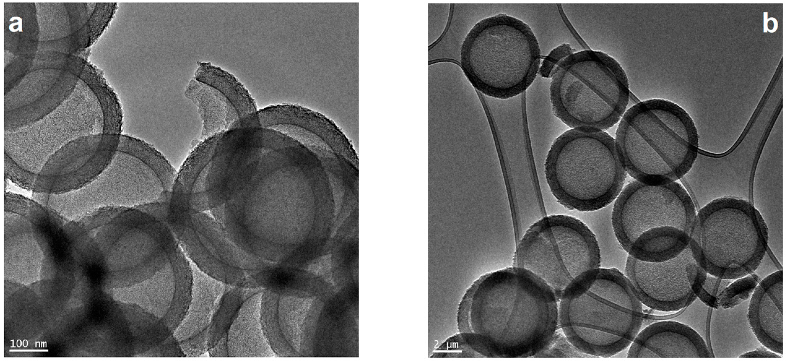 Nanomaterials 08 00639 g001a Nanomaterials 08 00639 g001a