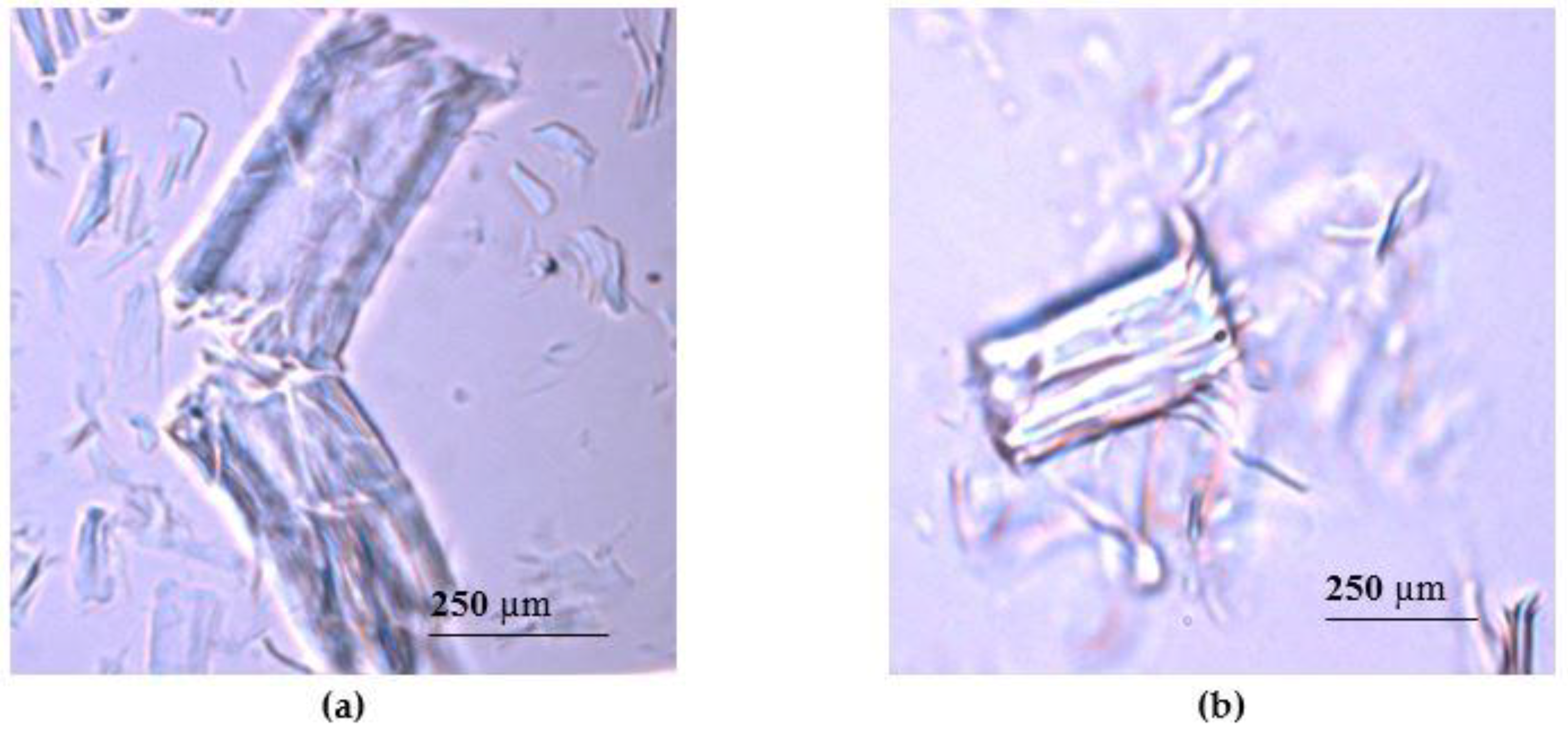 Nanomaterials 08 00640 g001