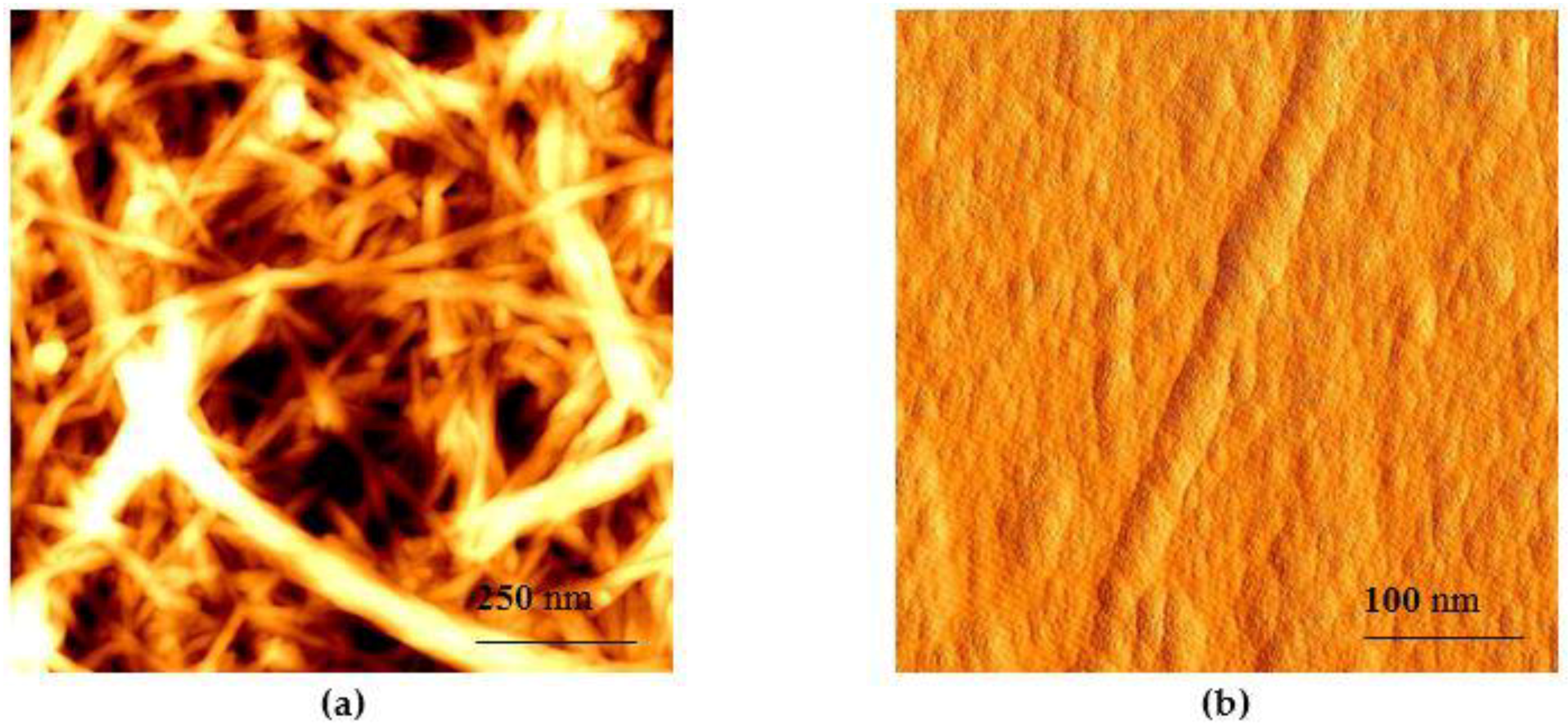 Nanomaterials 08 00640 g002