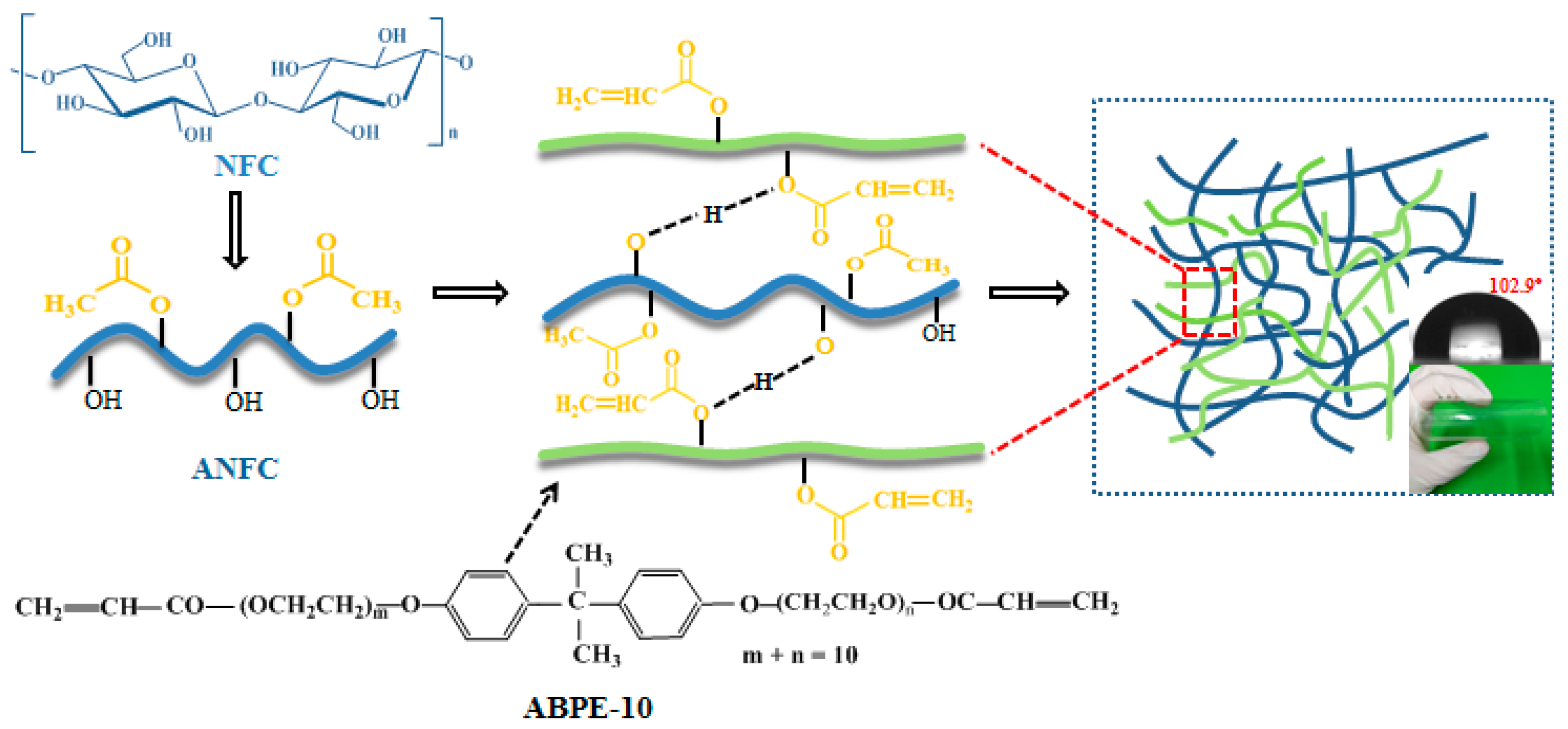 Nanomaterials 08 00648 g001