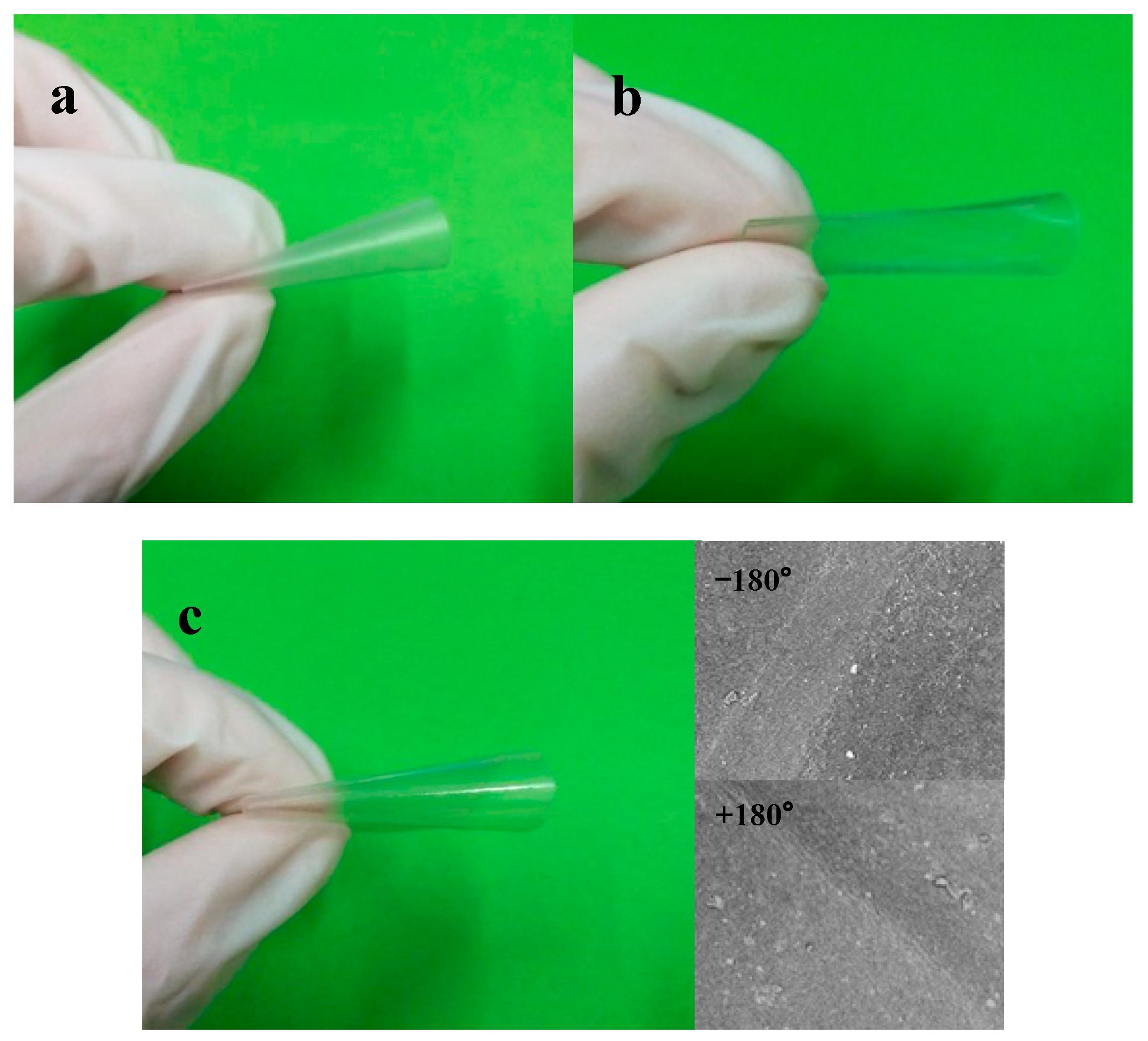 Nanomaterials 08 00648 g007