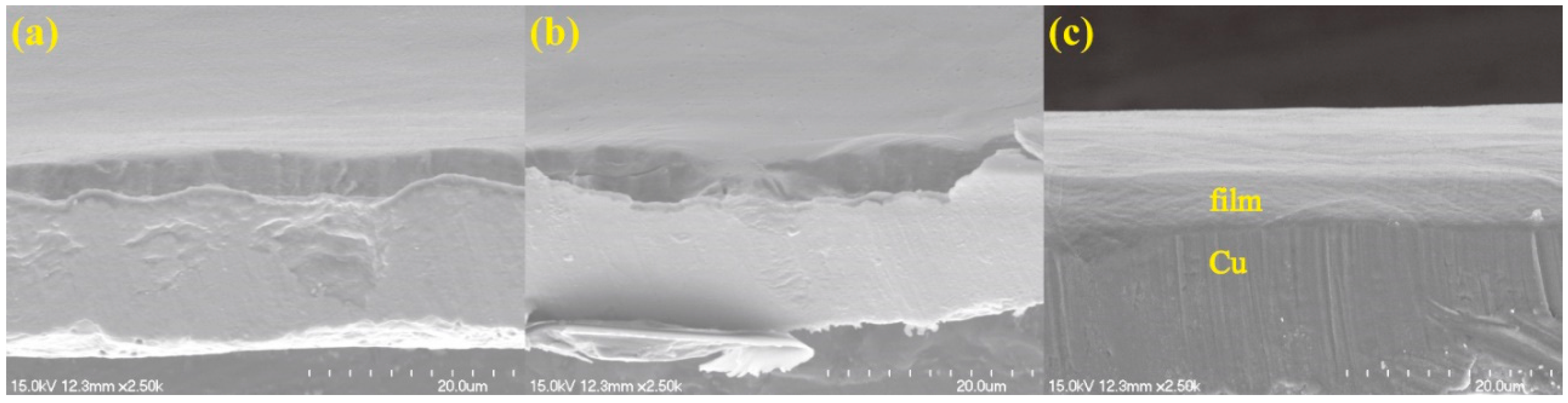 Nanomaterials 08 00656 g010