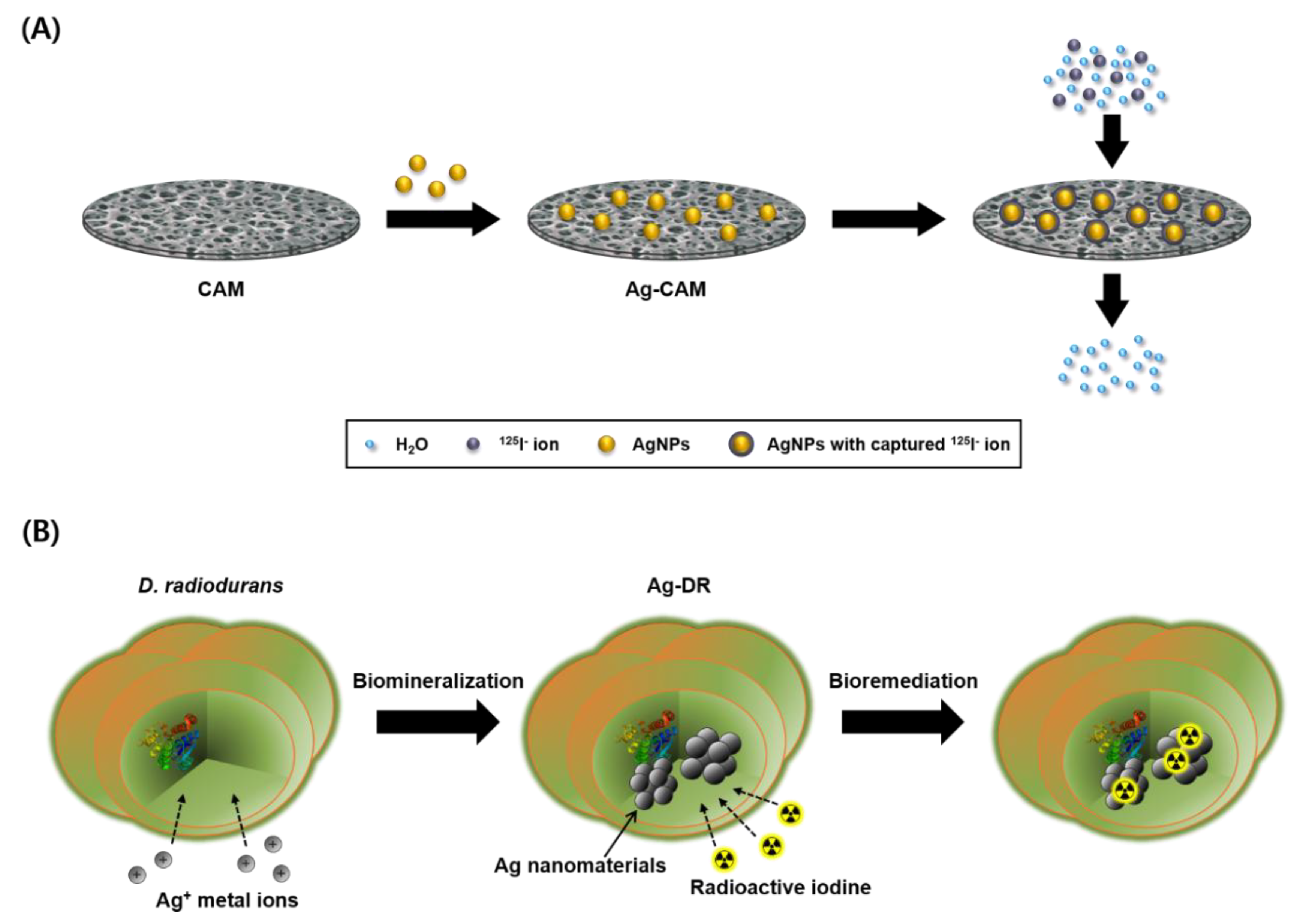 Nanomaterials 08 00660 g001 Nanomaterials 08 00660 g001