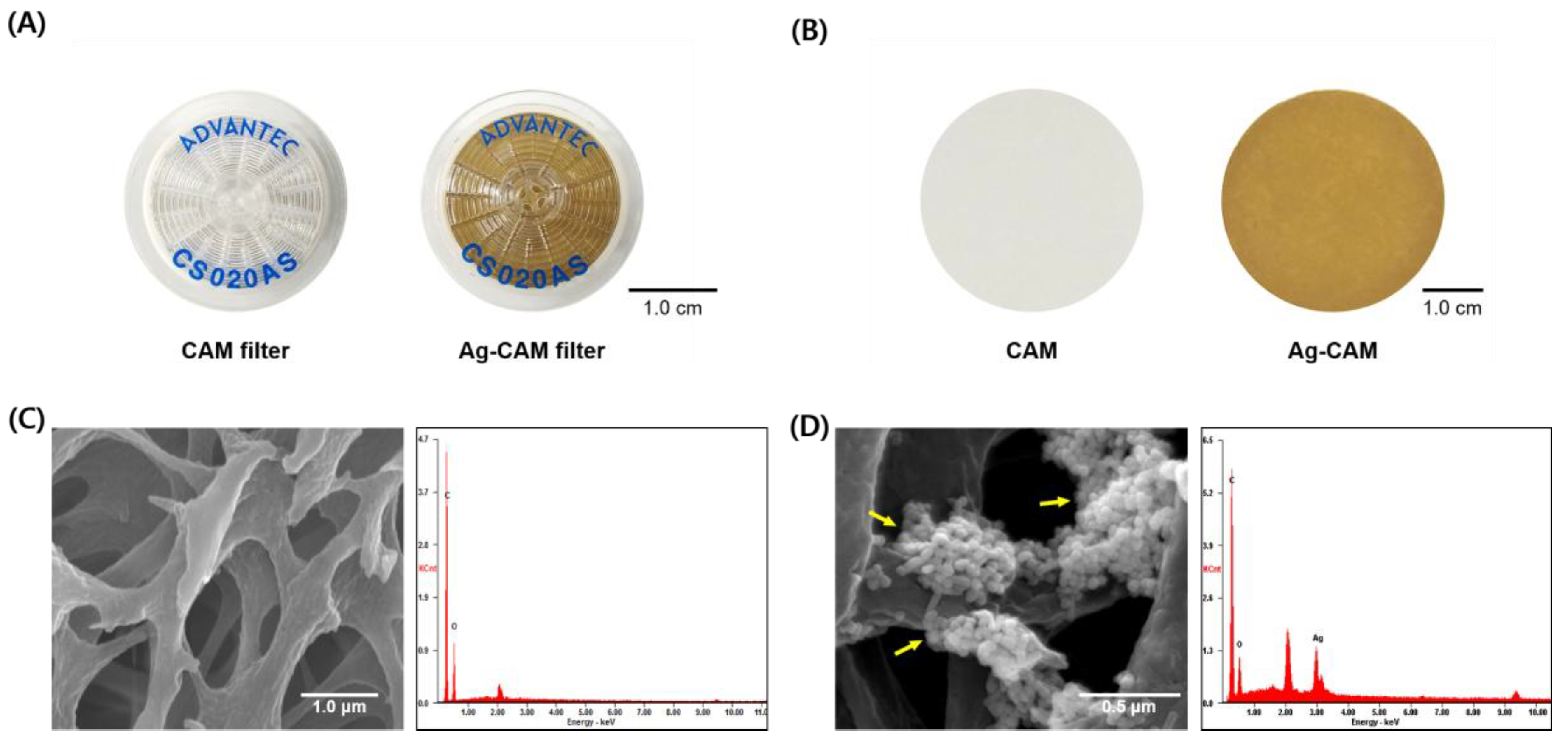 Nanomaterials 08 00660 g002 Nanomaterials 08 00660 g002