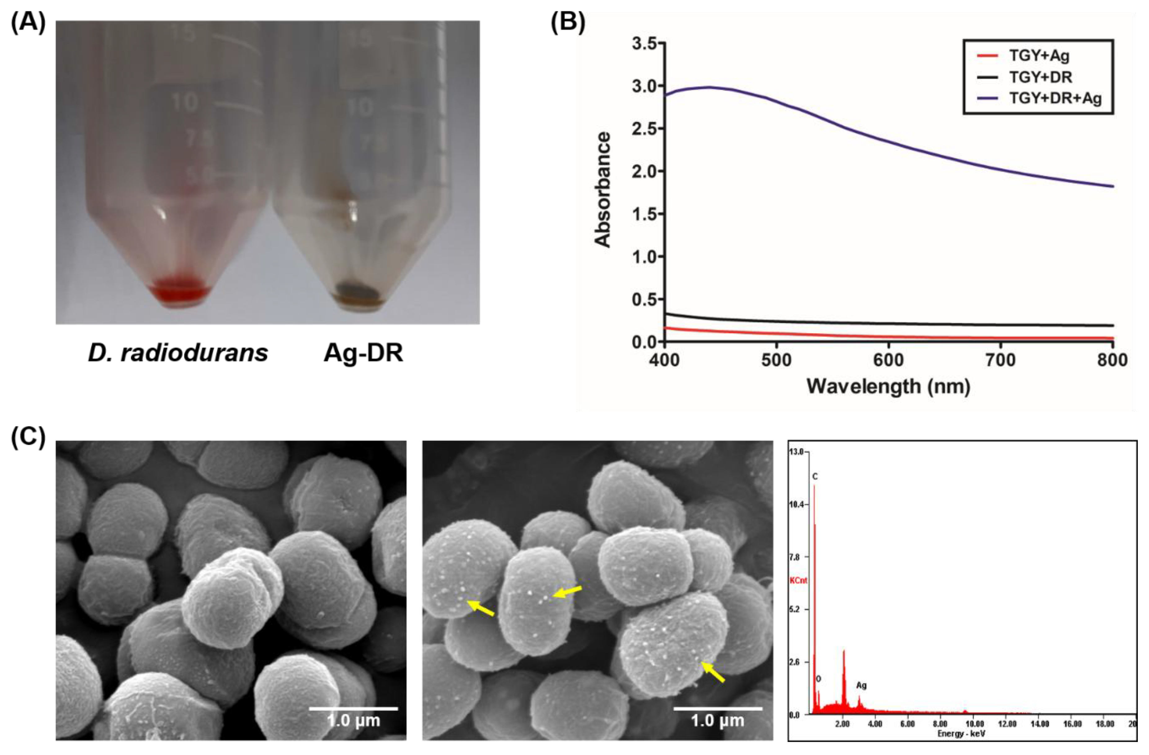 Nanomaterials 08 00660 g004 Nanomaterials 08 00660 g004