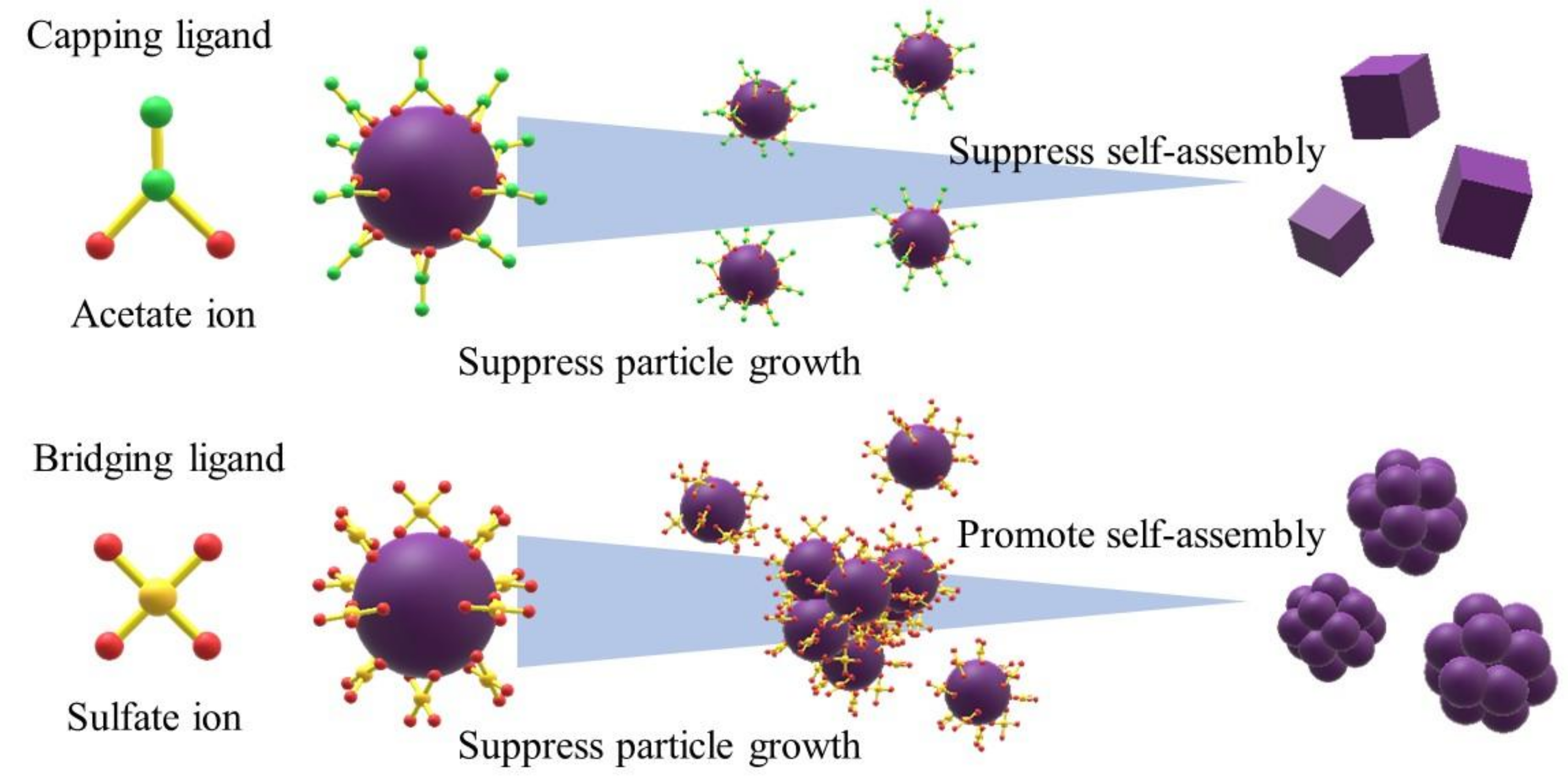 Nanomaterials 08 00662 g001