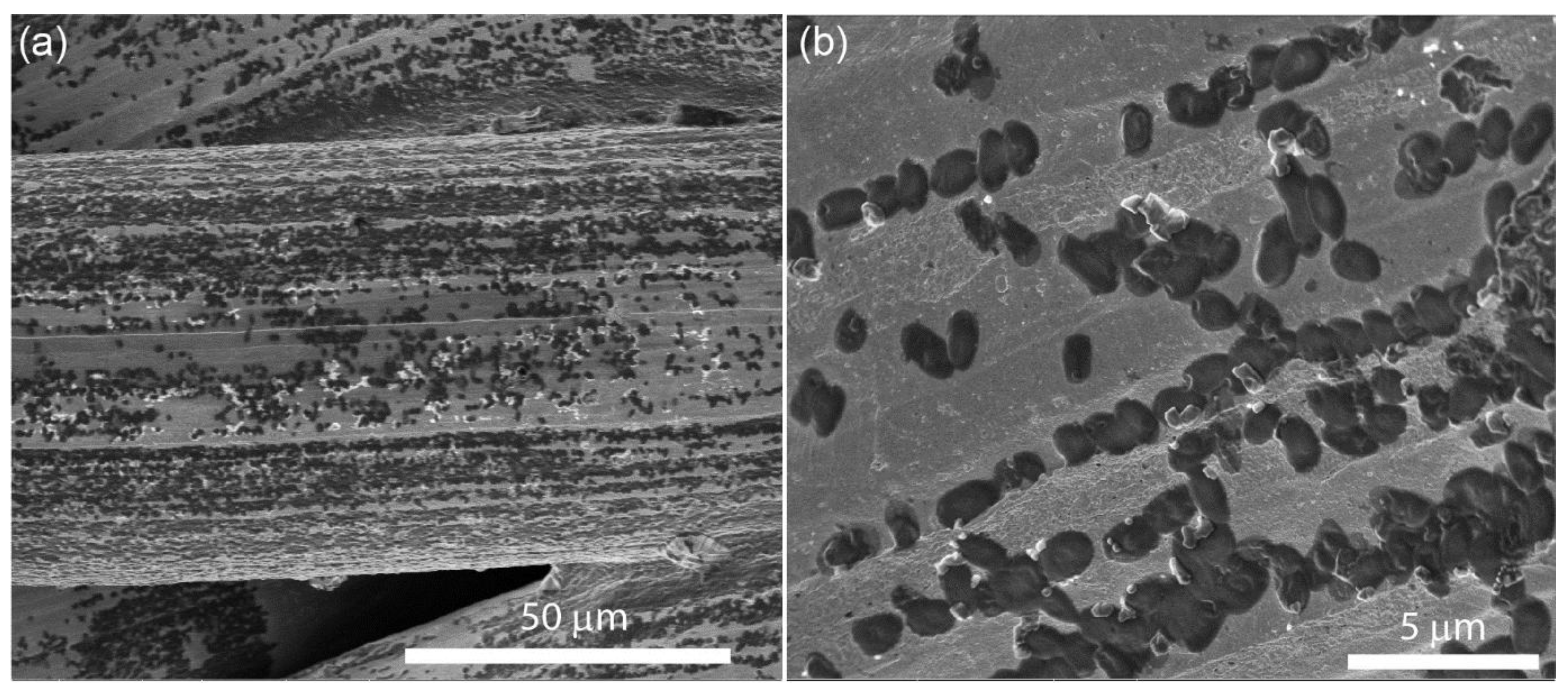 Nanomaterials 08 00663 g008 Nanomaterials 08 00663 g008