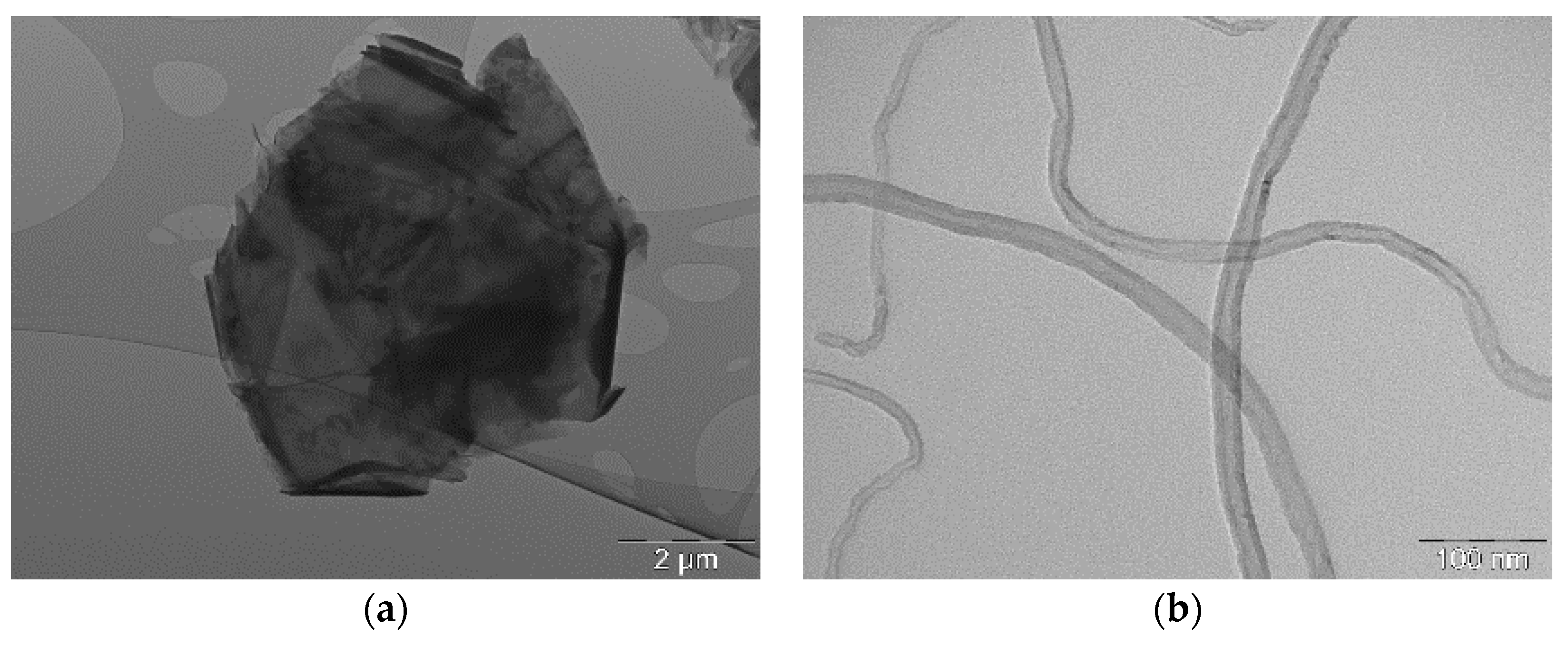 Nanomaterials 08 00674 g001