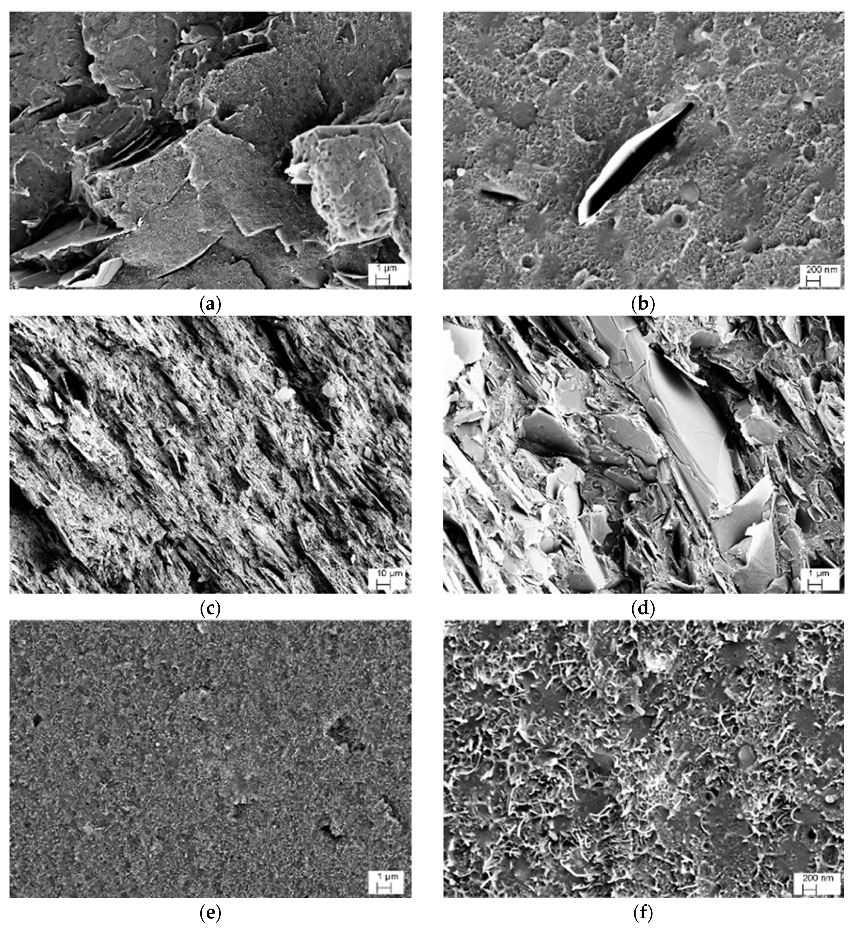 Nanomaterials 08 00674 g002