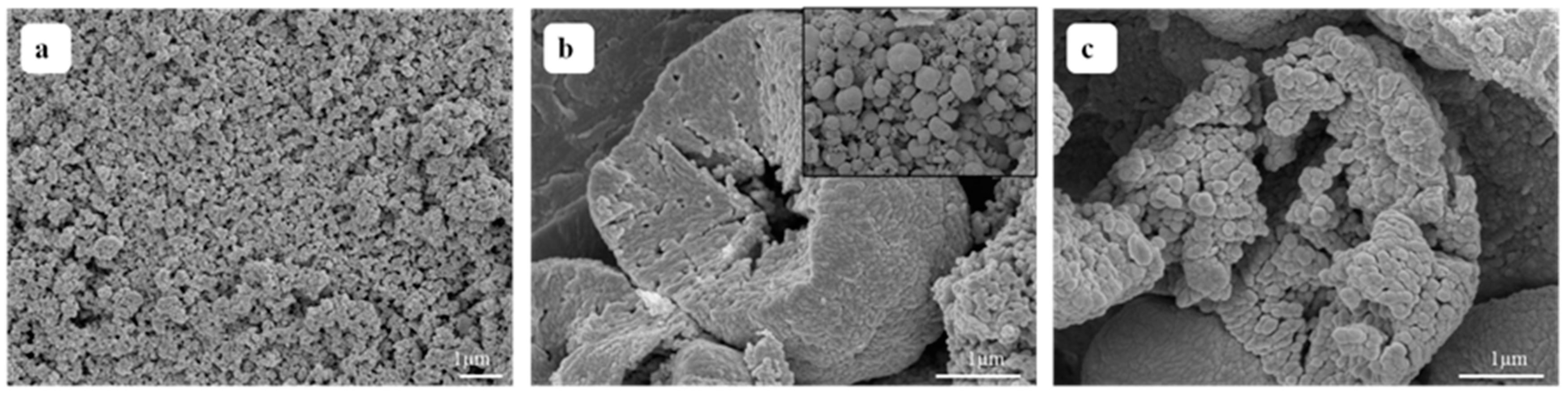 Nanomaterials 08 00687 g002 Nanomaterials 08 00687 g002