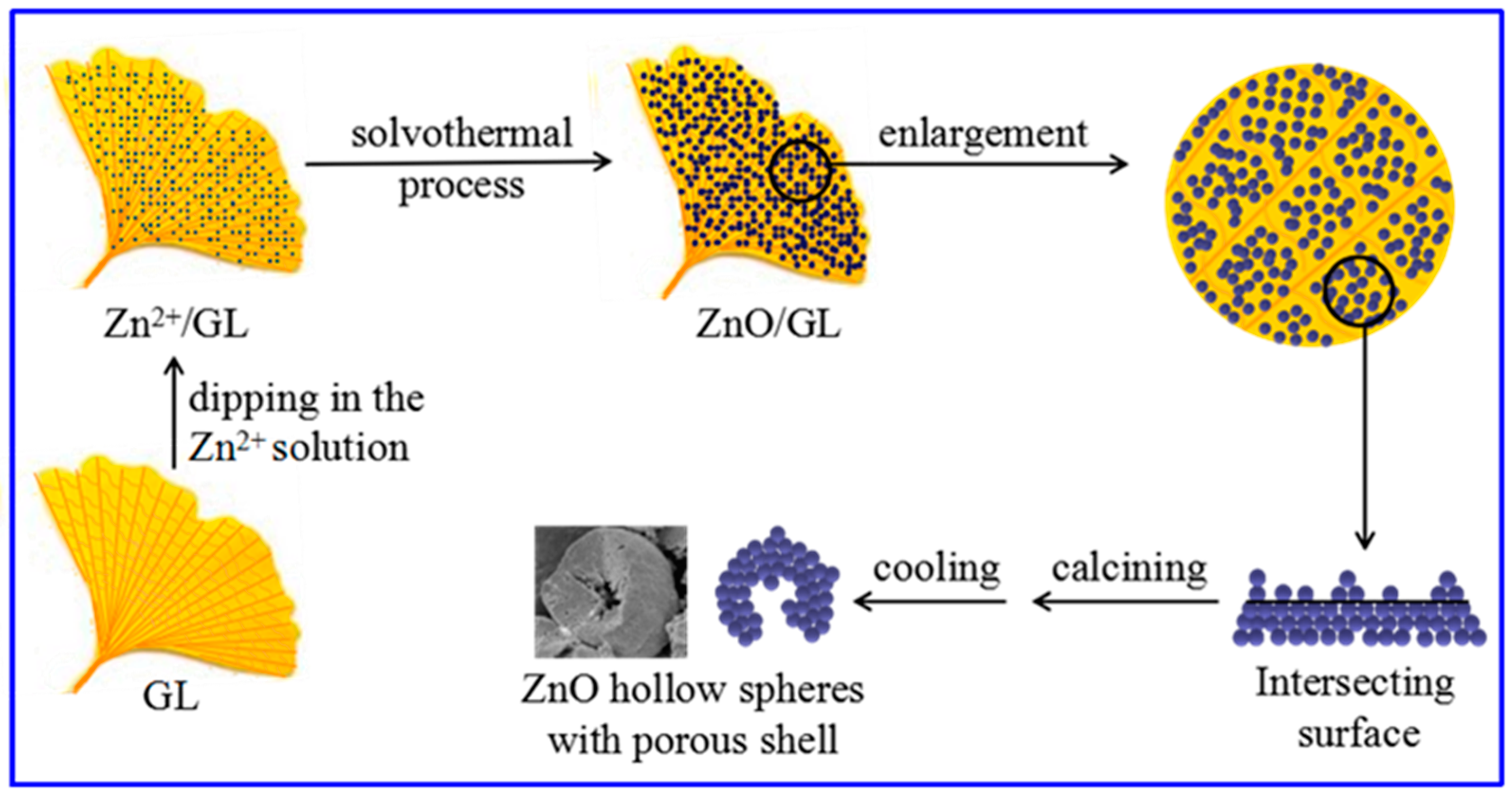 Nanomaterials 08 00687 sch001 Nanomaterials 08 00687 sch001