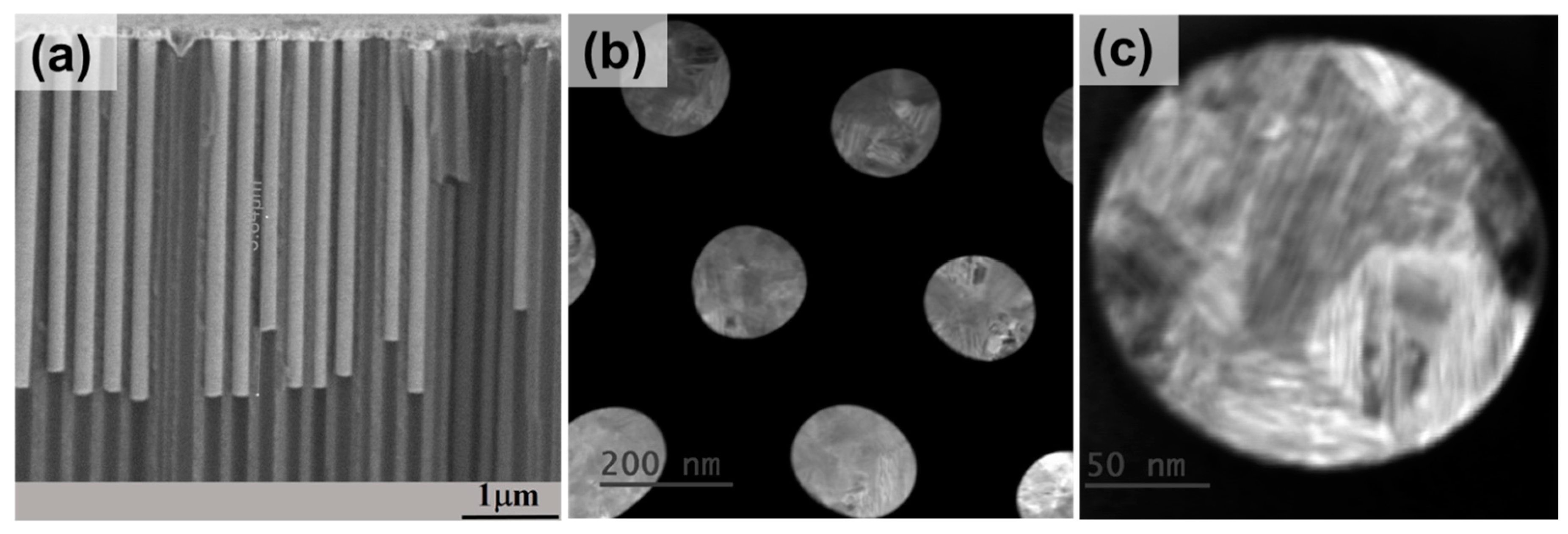 Nanomaterials 08 00692 g001