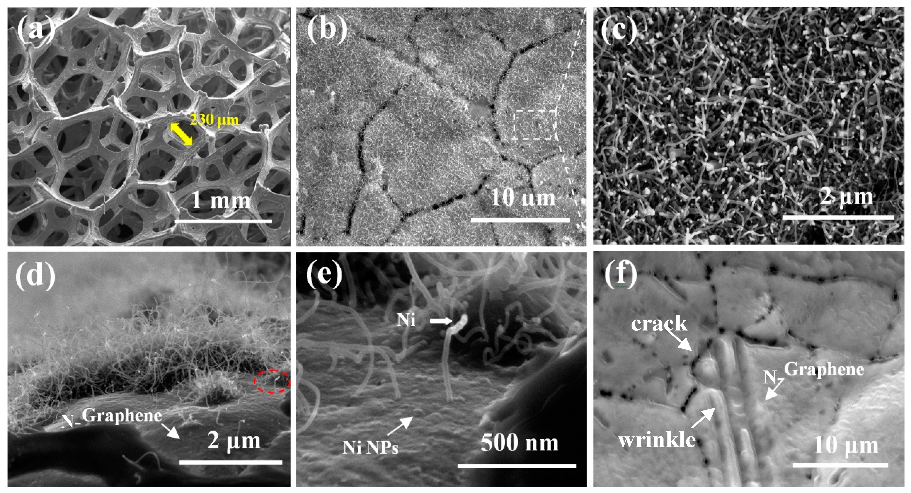 Nanomaterials 08 00700 g002