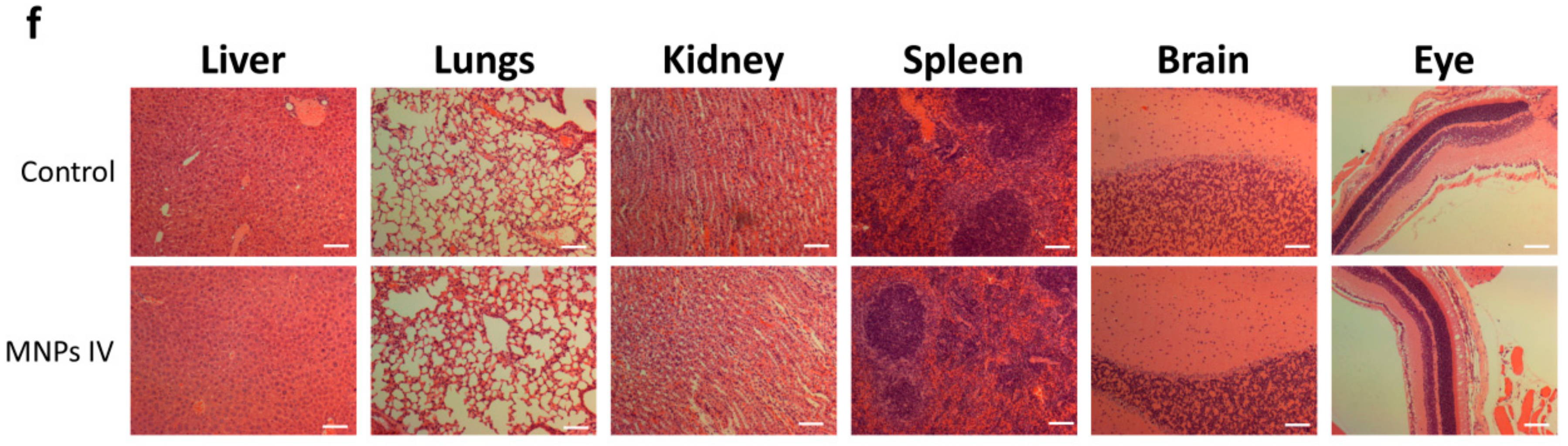 Nanomaterials 08 00707 g007b