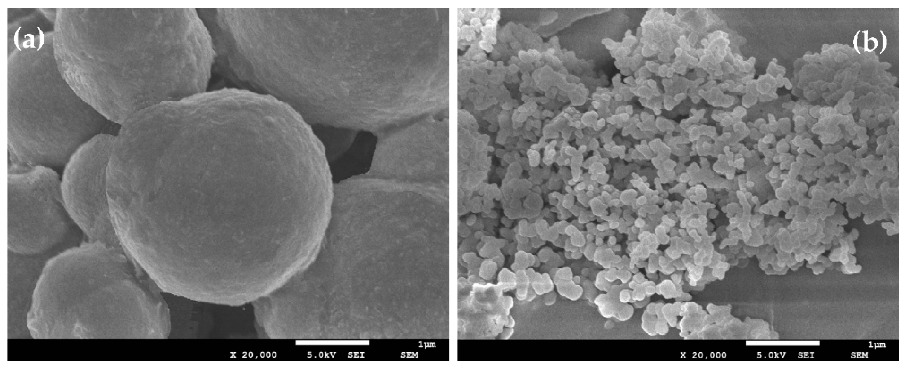 Nanomaterials 08 00714 g002