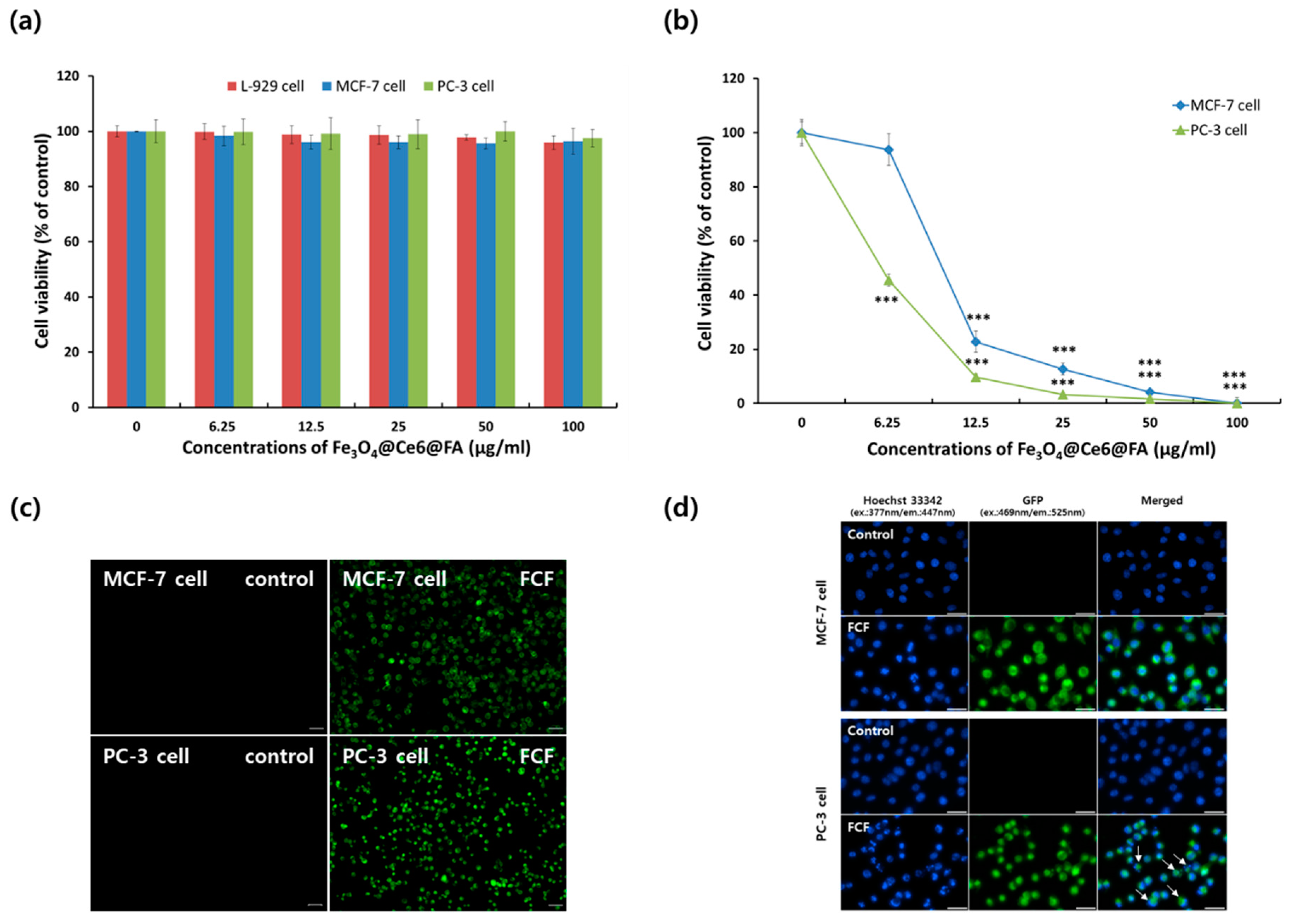 Nanomaterials 08 00722 g004