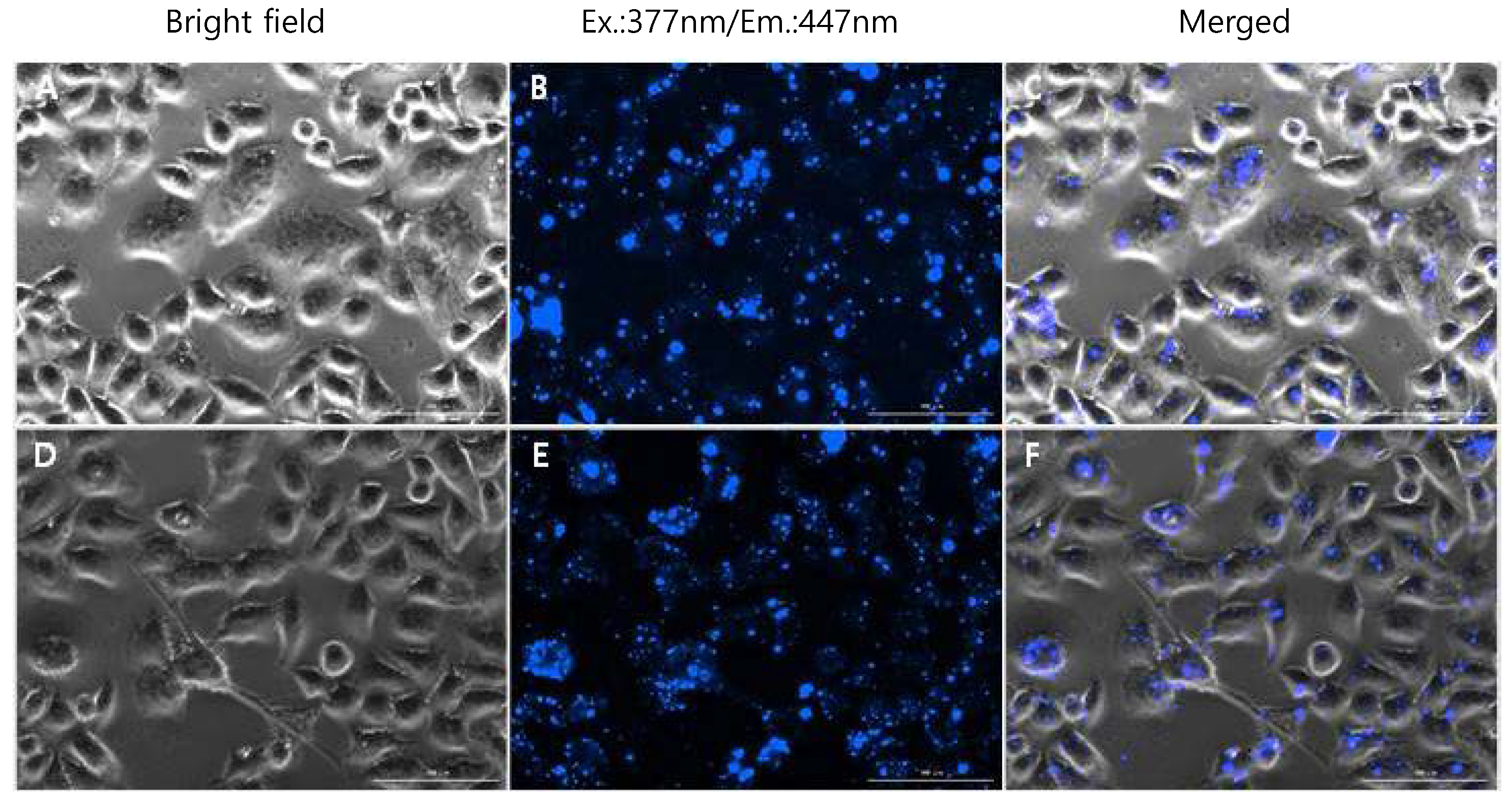 Nanomaterials 08 00728 g008 Nanomaterials 08 00728 g008