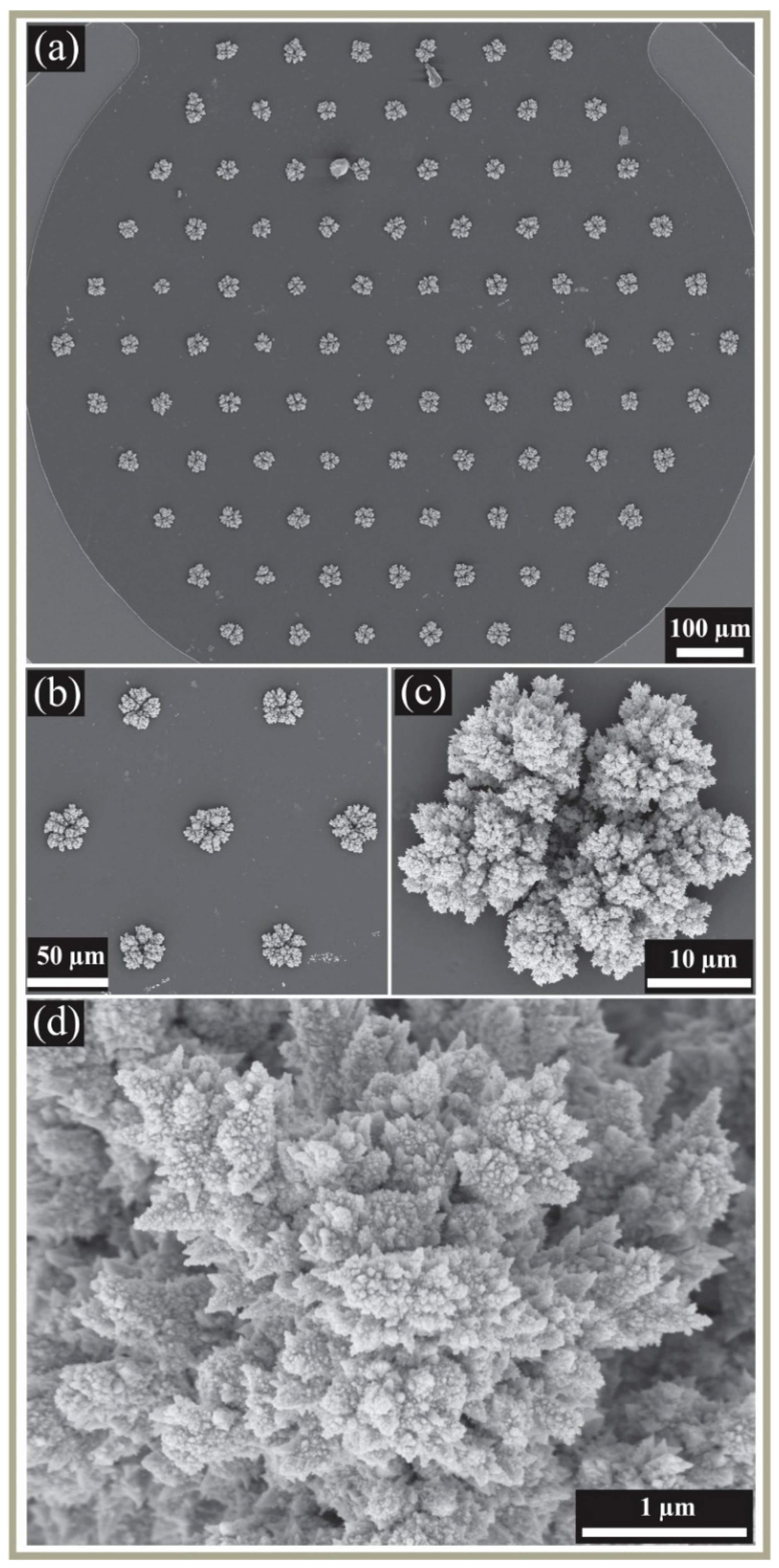 Nanomaterials 08 00735 g001