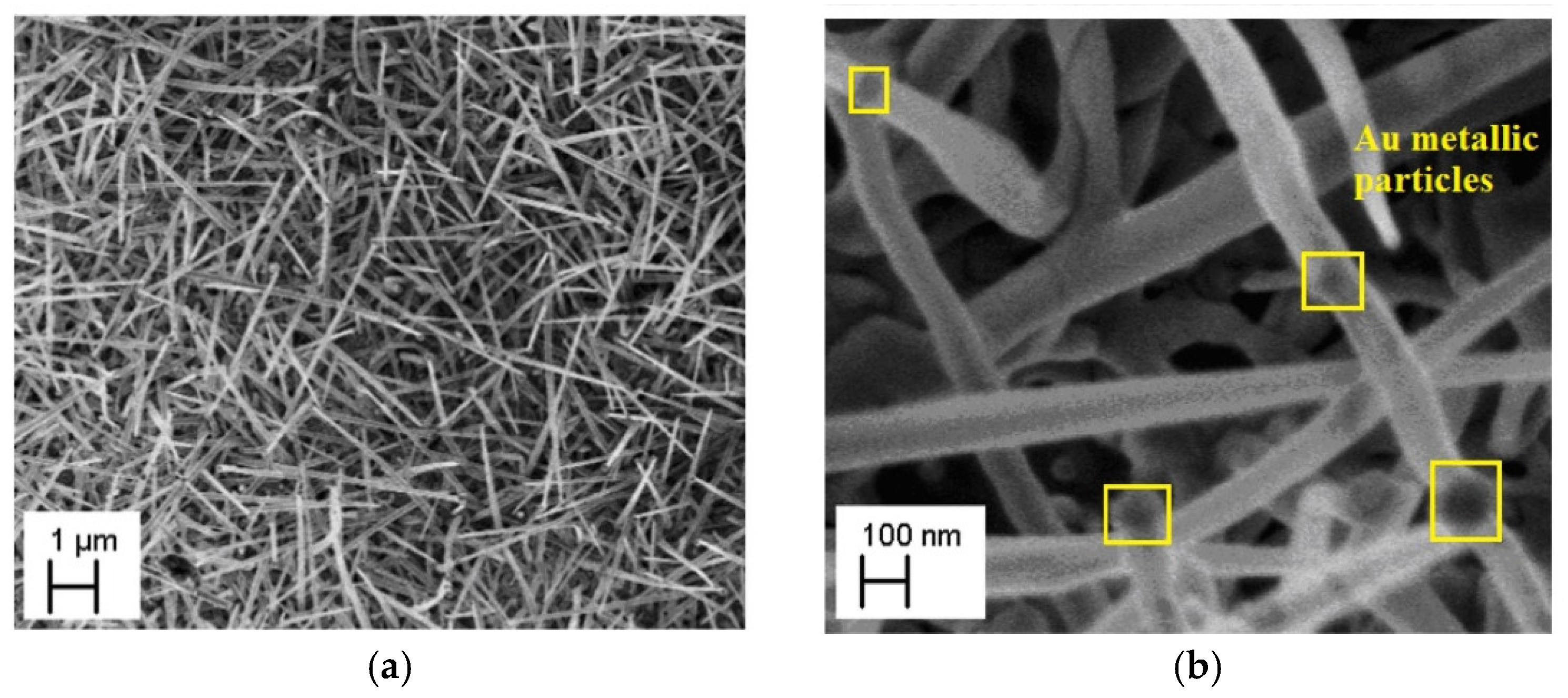 Nanomaterials 08 00738 g001