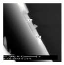 Nanomaterials 08 00741 i002