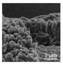 Nanomaterials 08 00741 i003