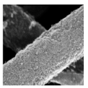 Nanomaterials 08 00741 i005