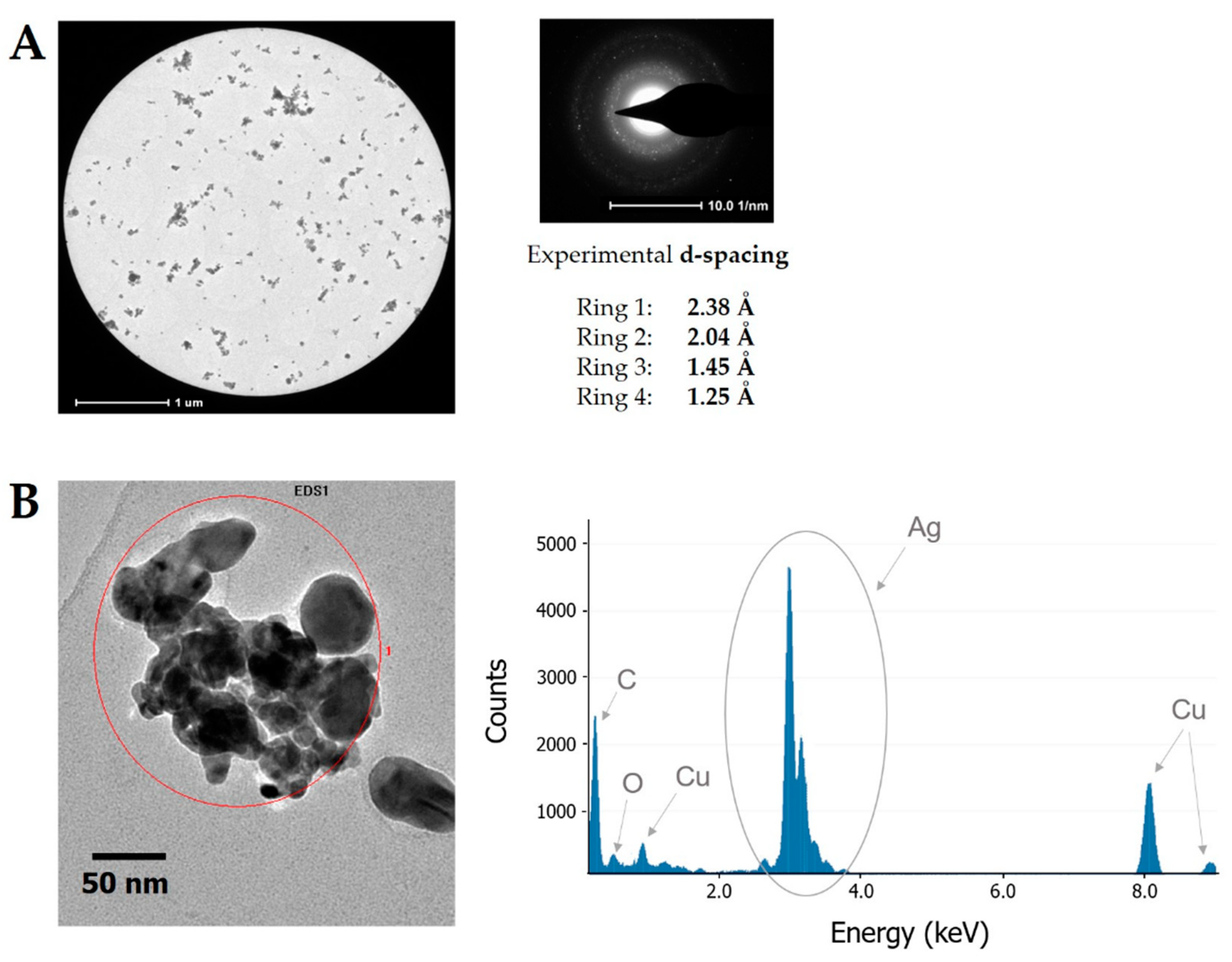 Nanomaterials 08 00751 g004