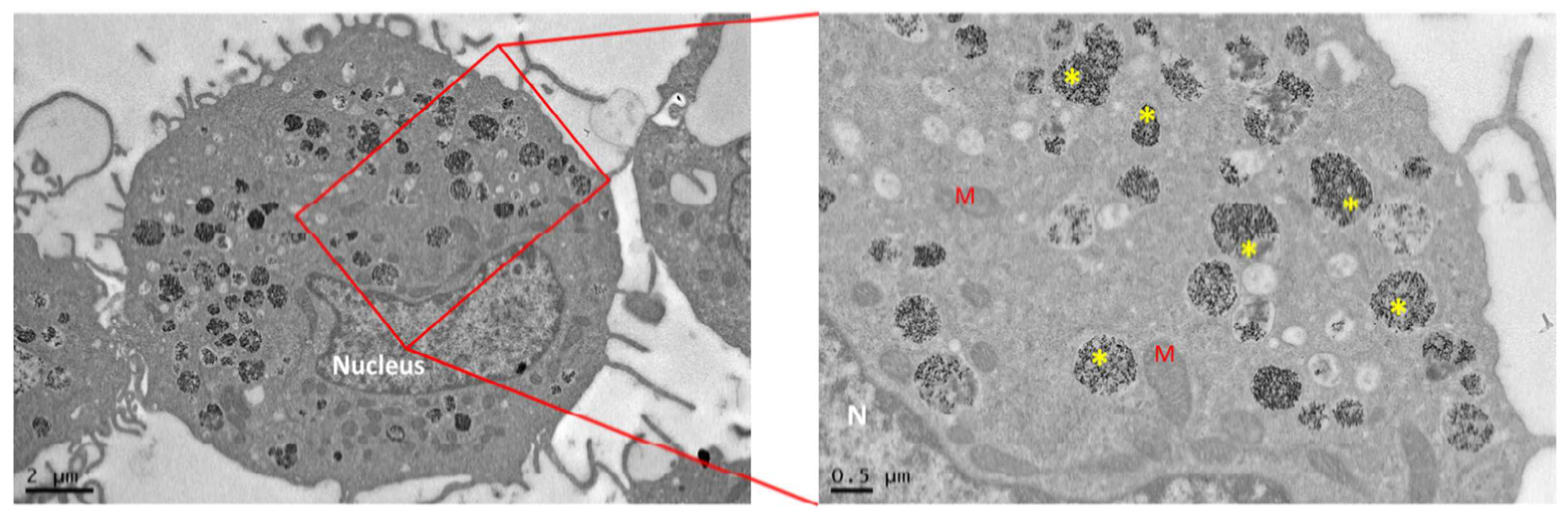 Nanomaterials 08 00753 g001