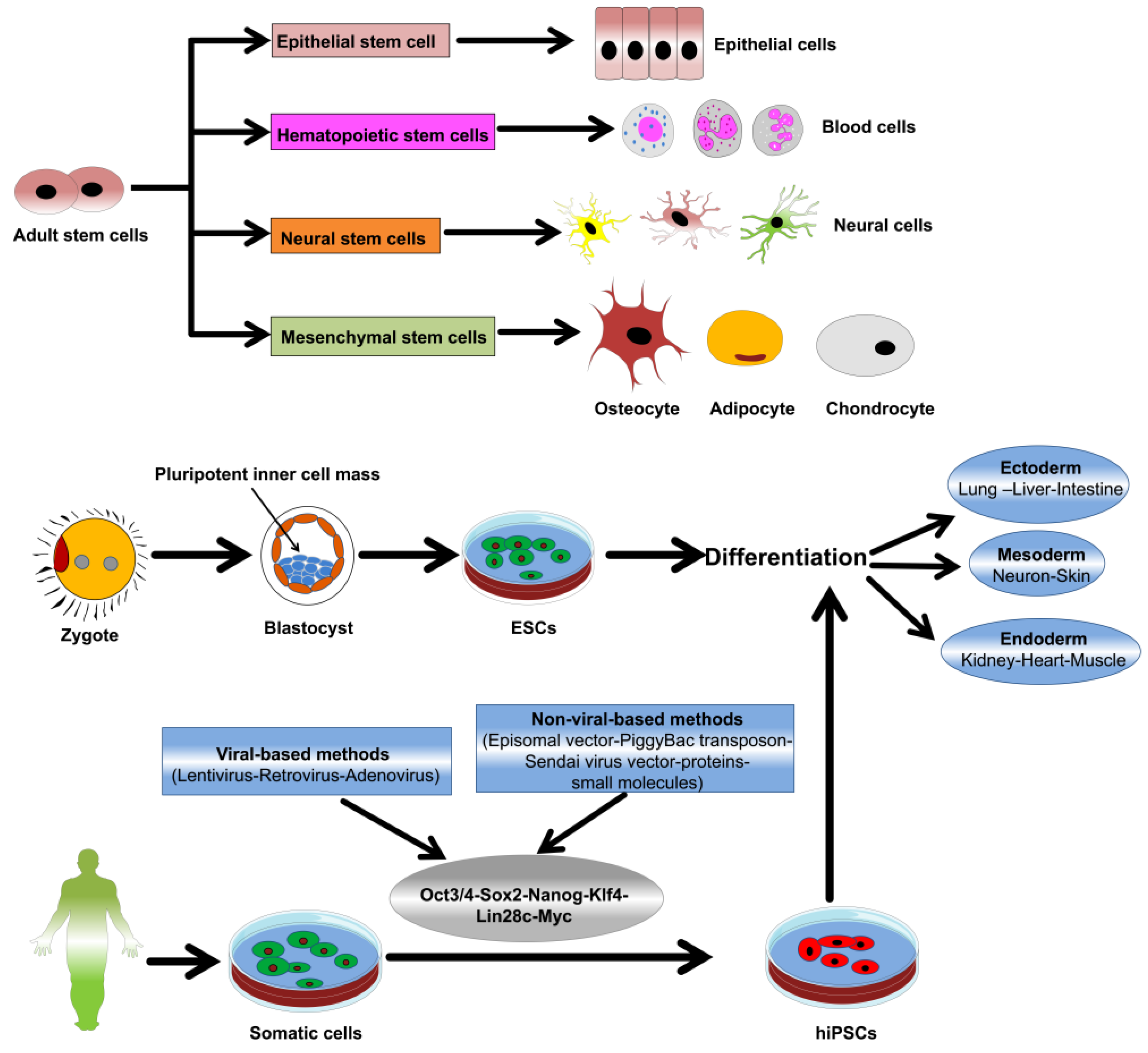 Nanomaterials 08 00761 g001 Nanomaterials 08 00761 g001