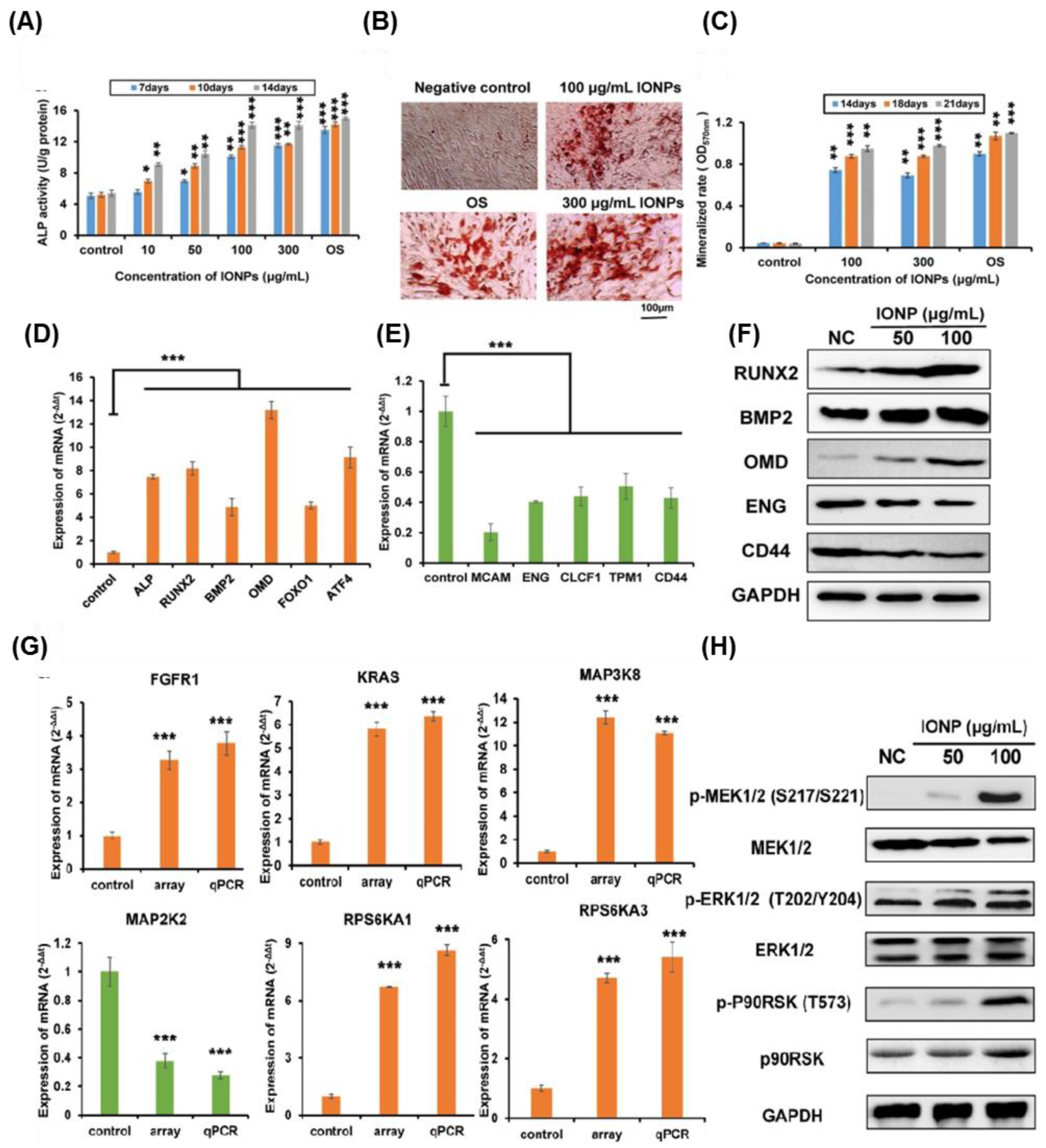Nanomaterials 08 00761 g004 Nanomaterials 08 00761 g004