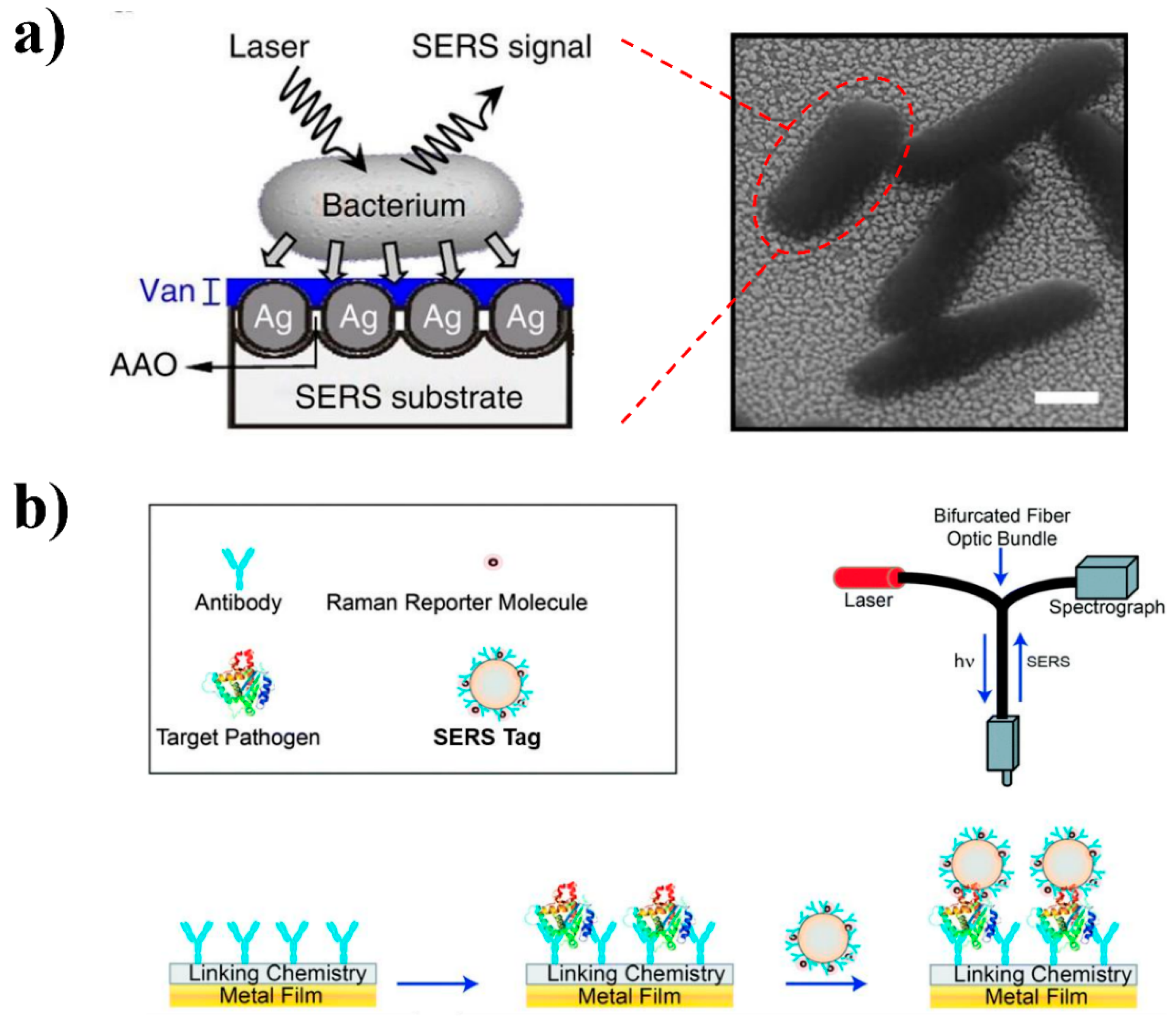 Nanomaterials 08 00762 g002 Nanomaterials 08 00762 g002