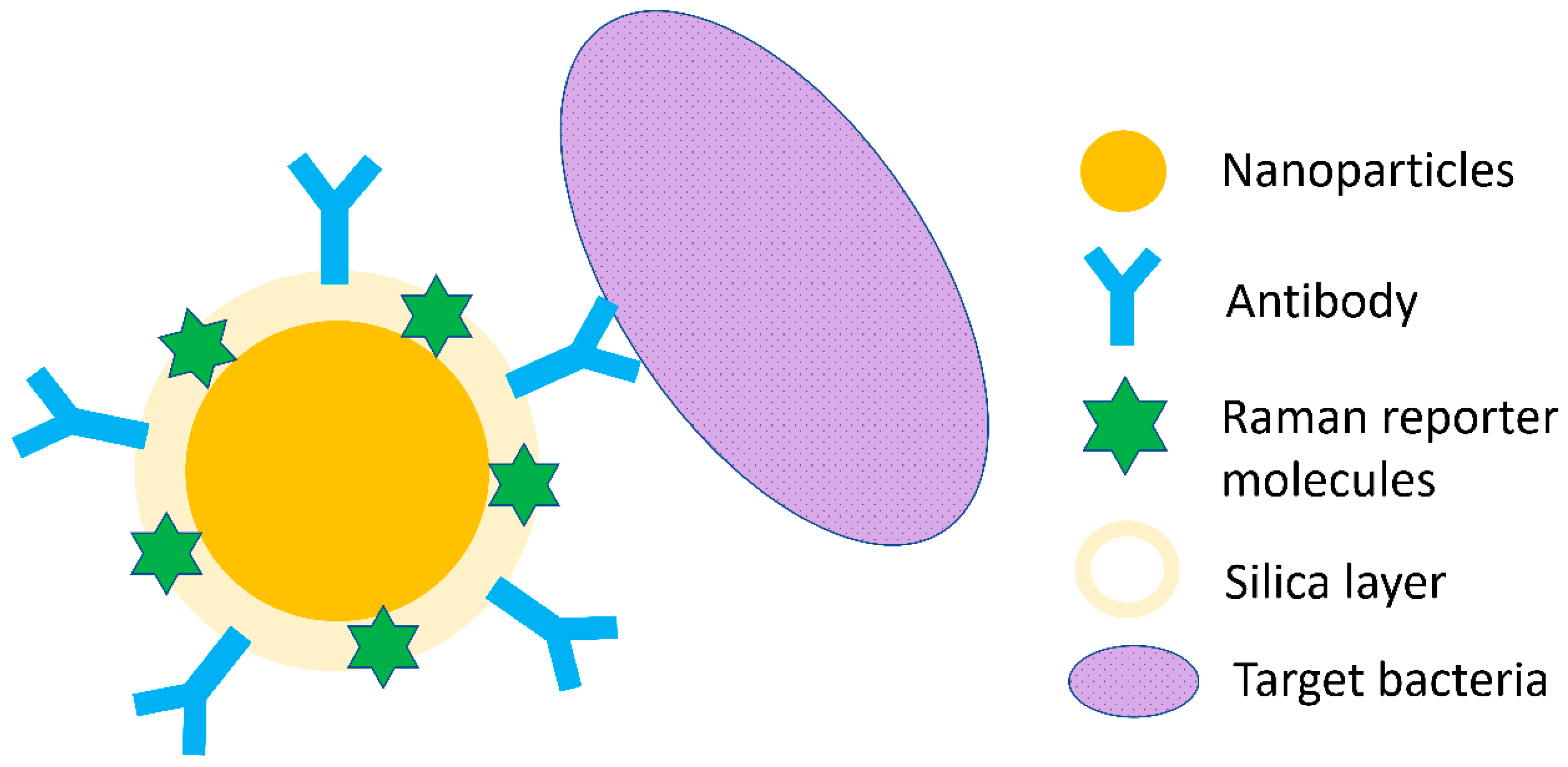 Nanomaterials 08 00762 g003 Nanomaterials 08 00762 g003
