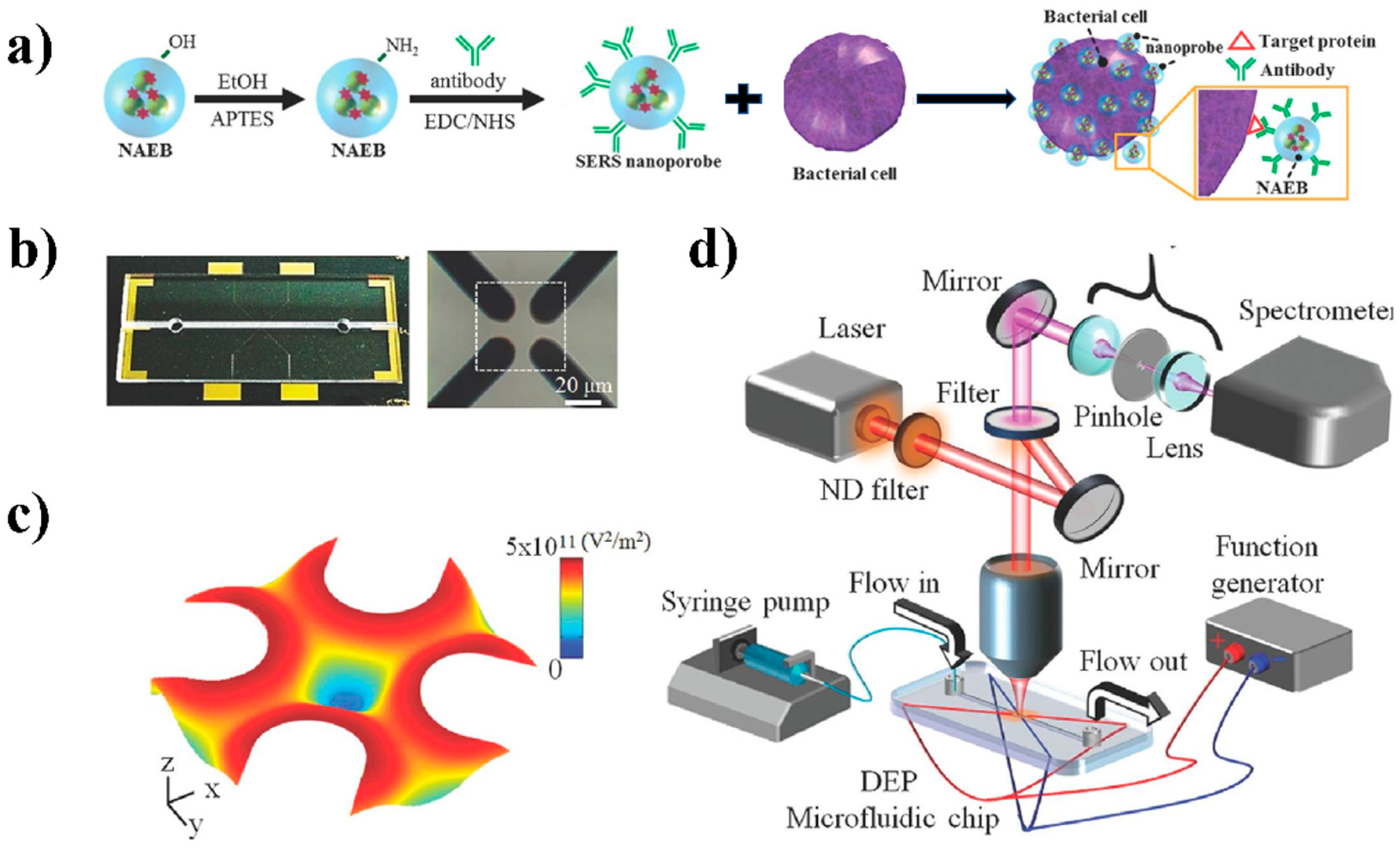 Nanomaterials 08 00762 g005 Nanomaterials 08 00762 g005